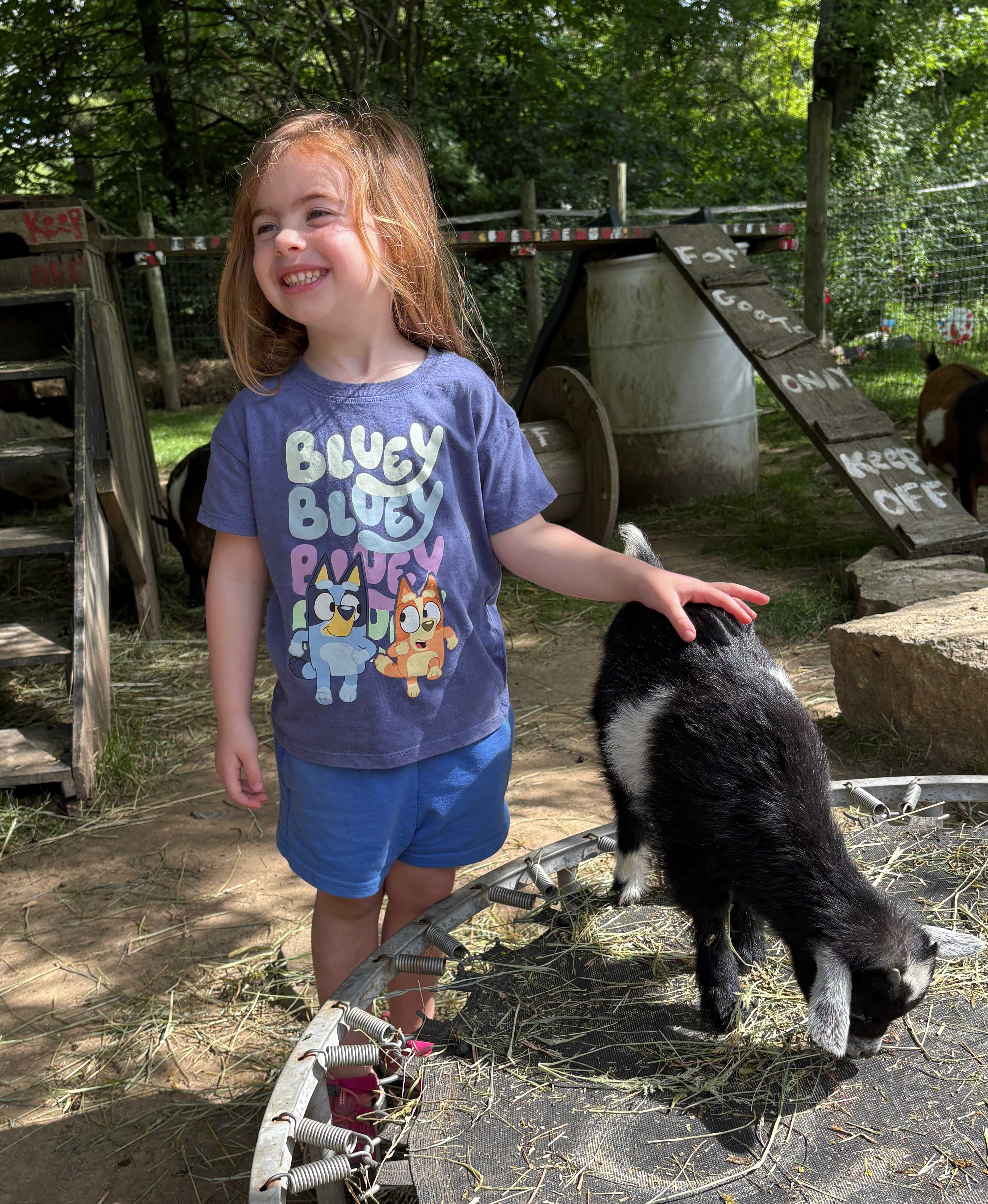 Petting the baby goat!