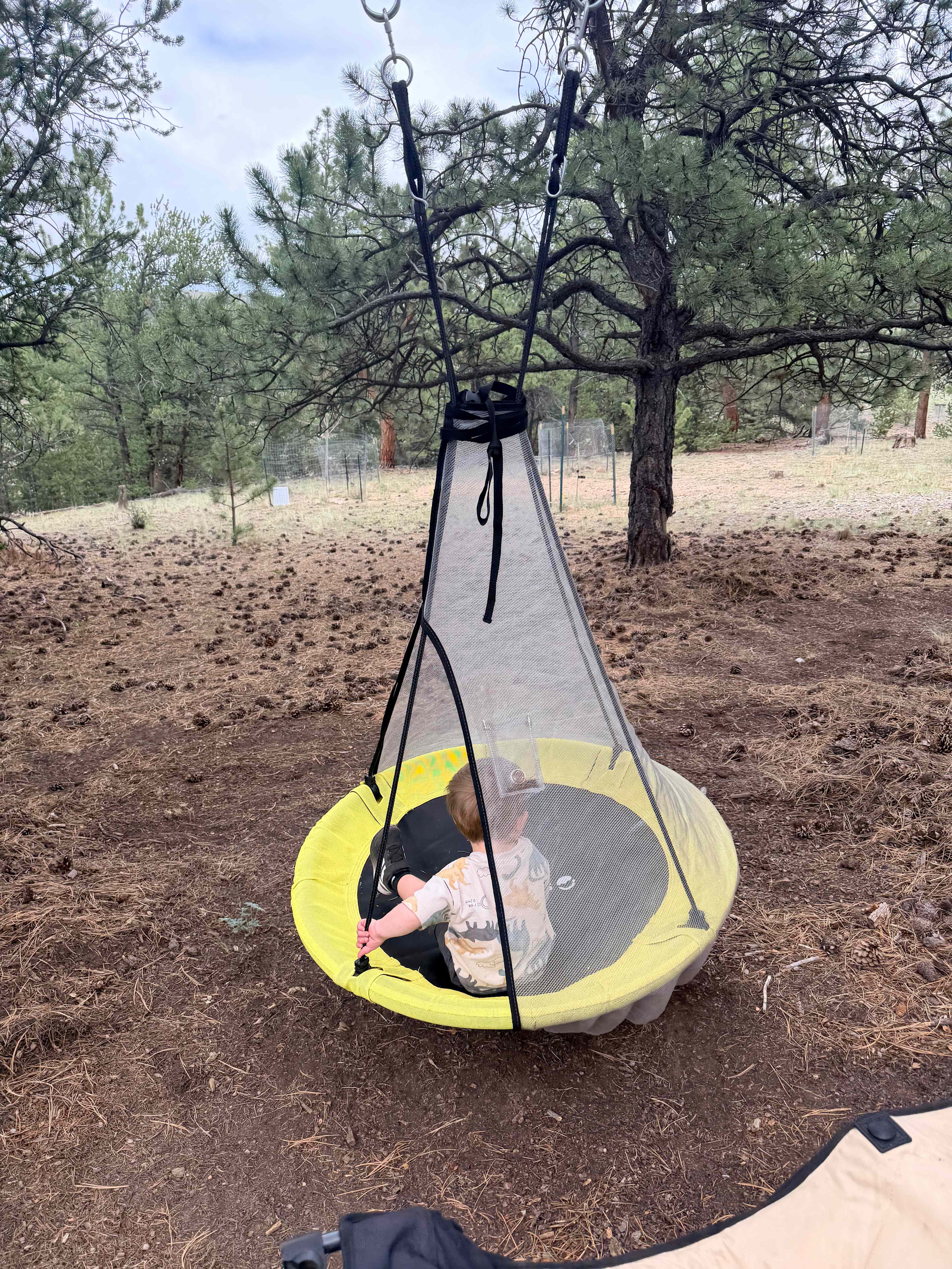 Dreamtime Ranch
