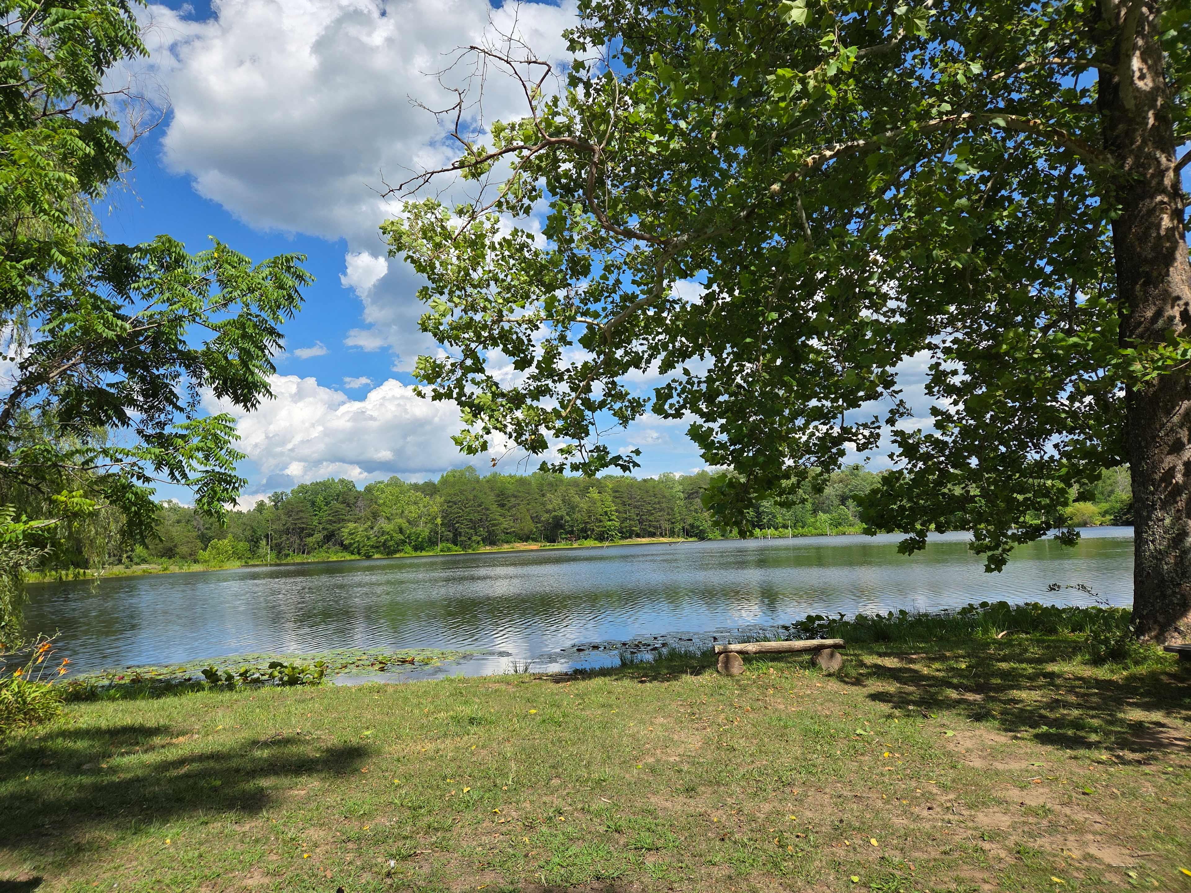 Lakefront!! Kayaks Available.