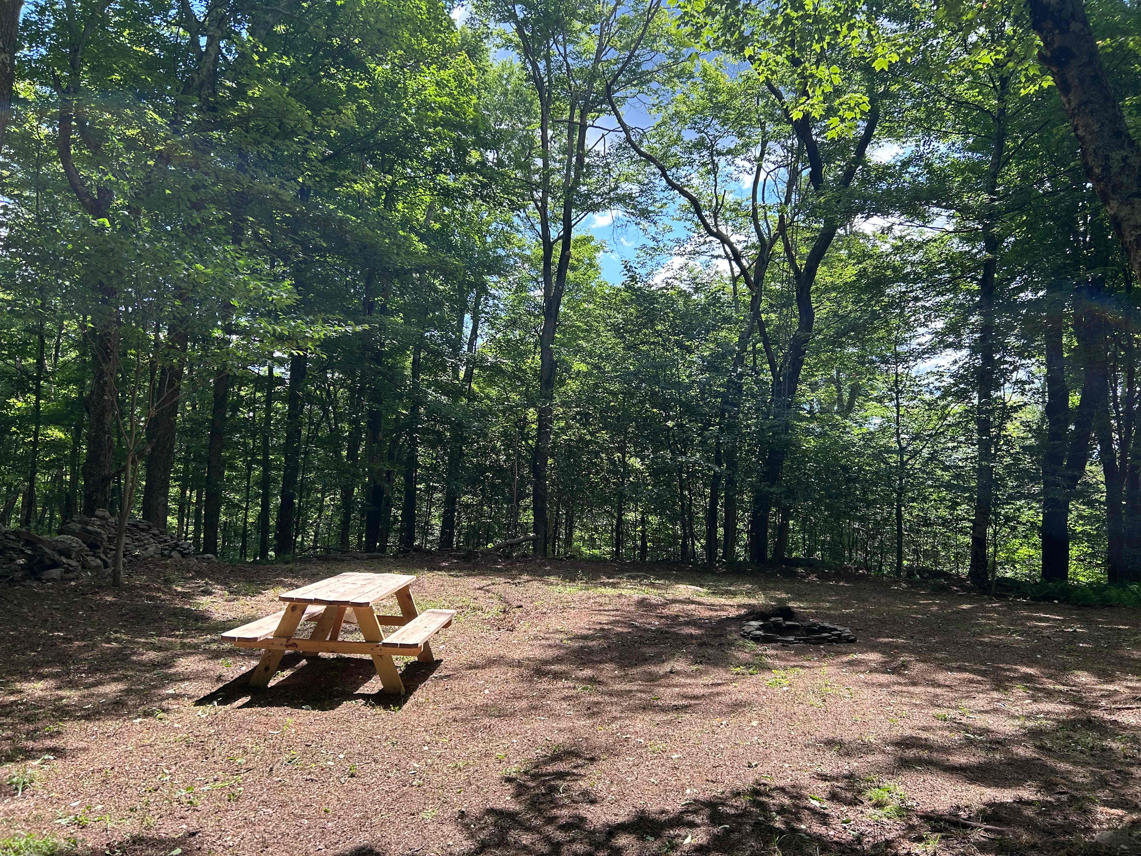 🌾Farmland Retreat Livingston Manor