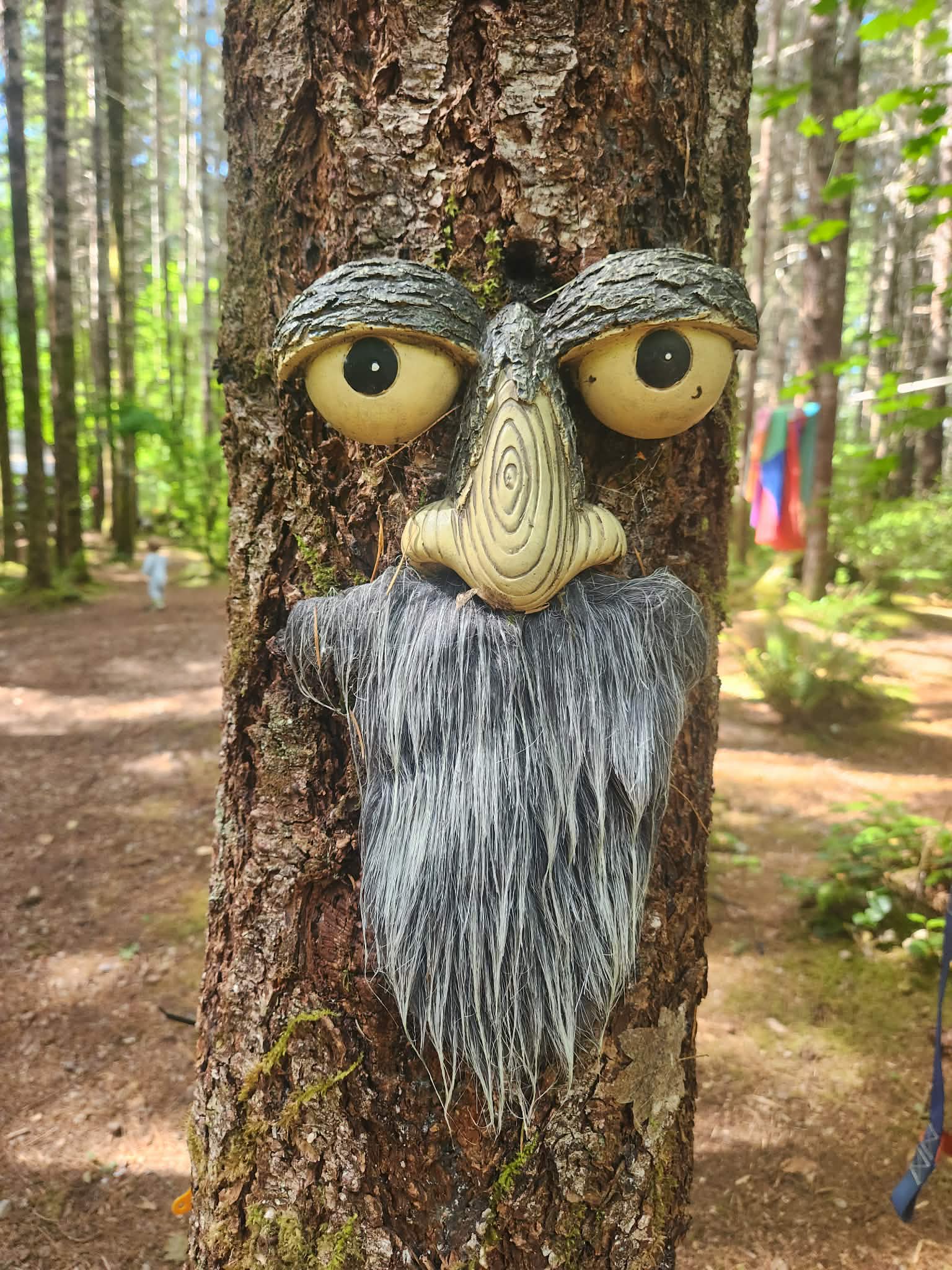 Elfendahl Forest