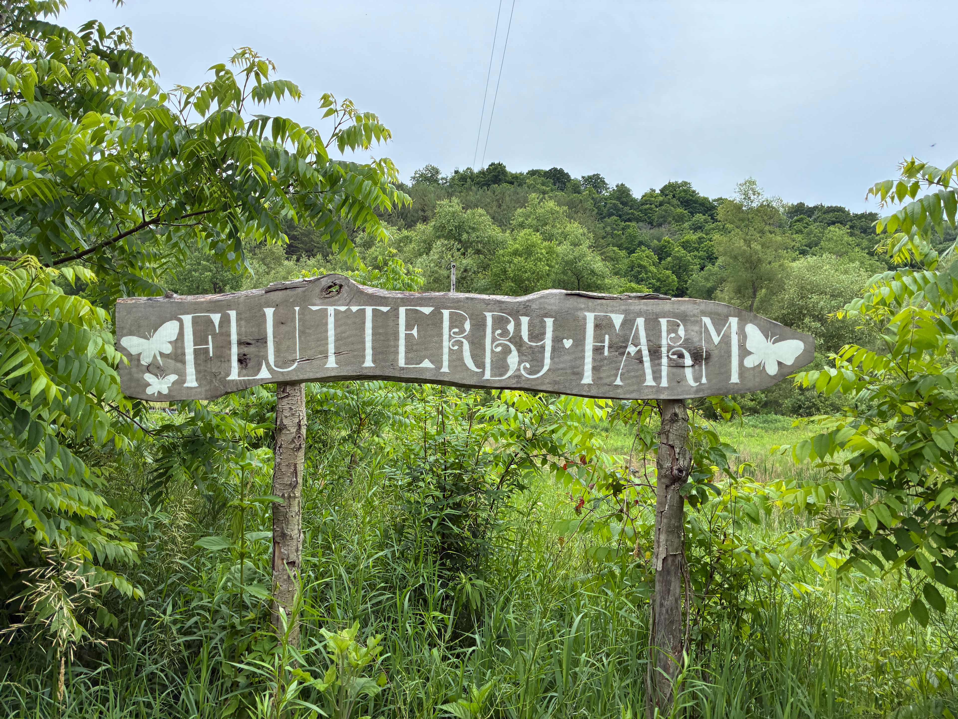 🦫 Flutterby 🦋 Farm 👩🏽‍🌾