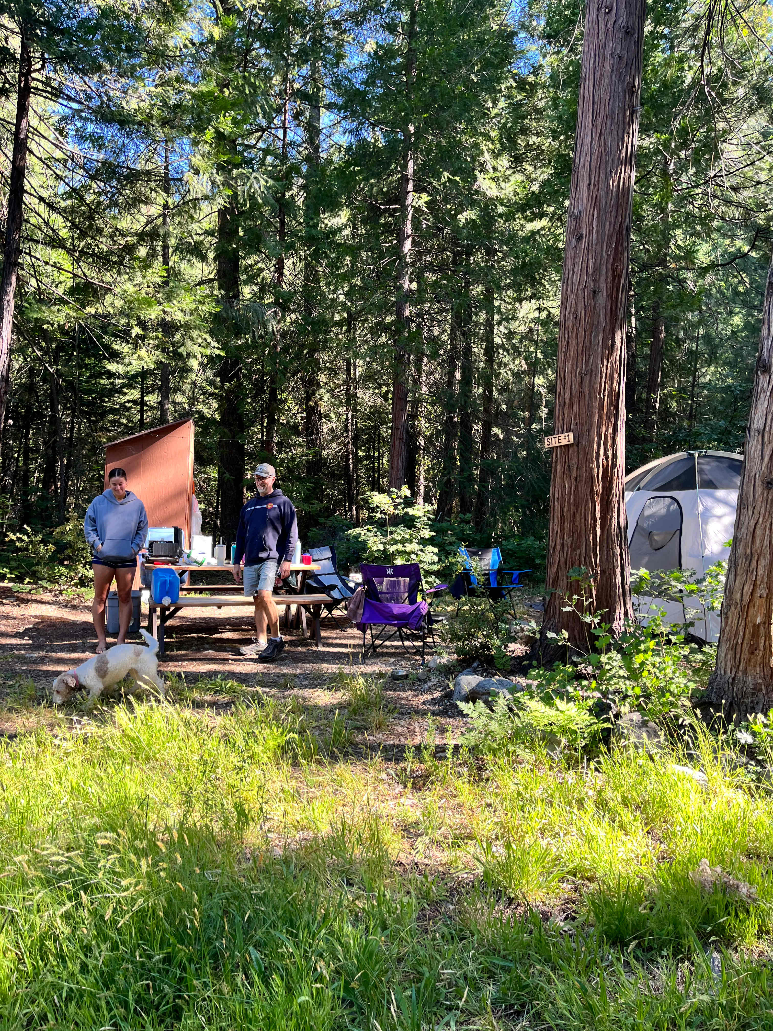 Bright Bear Camp in Tahoe NF