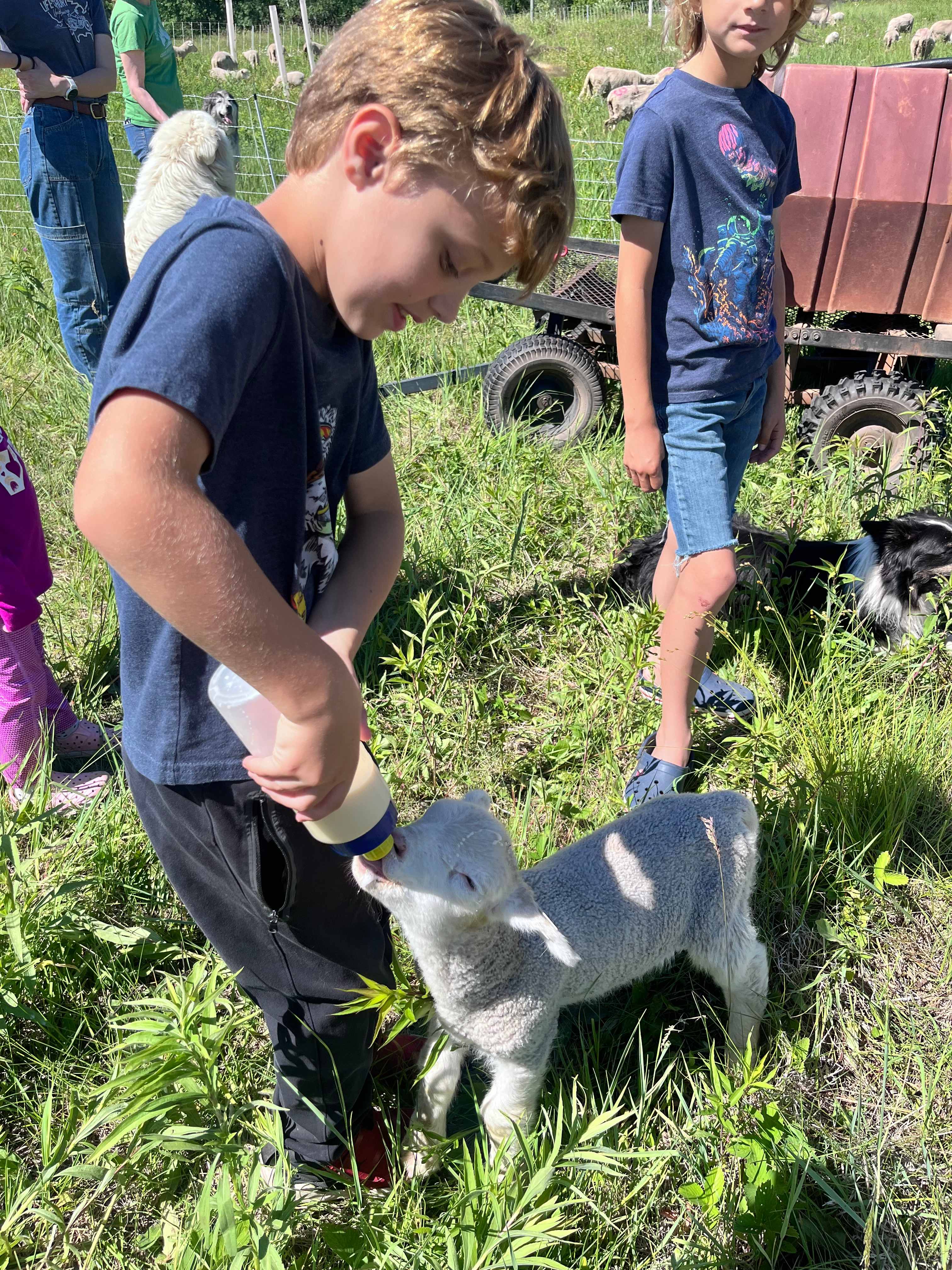 Medicine Creek Farm