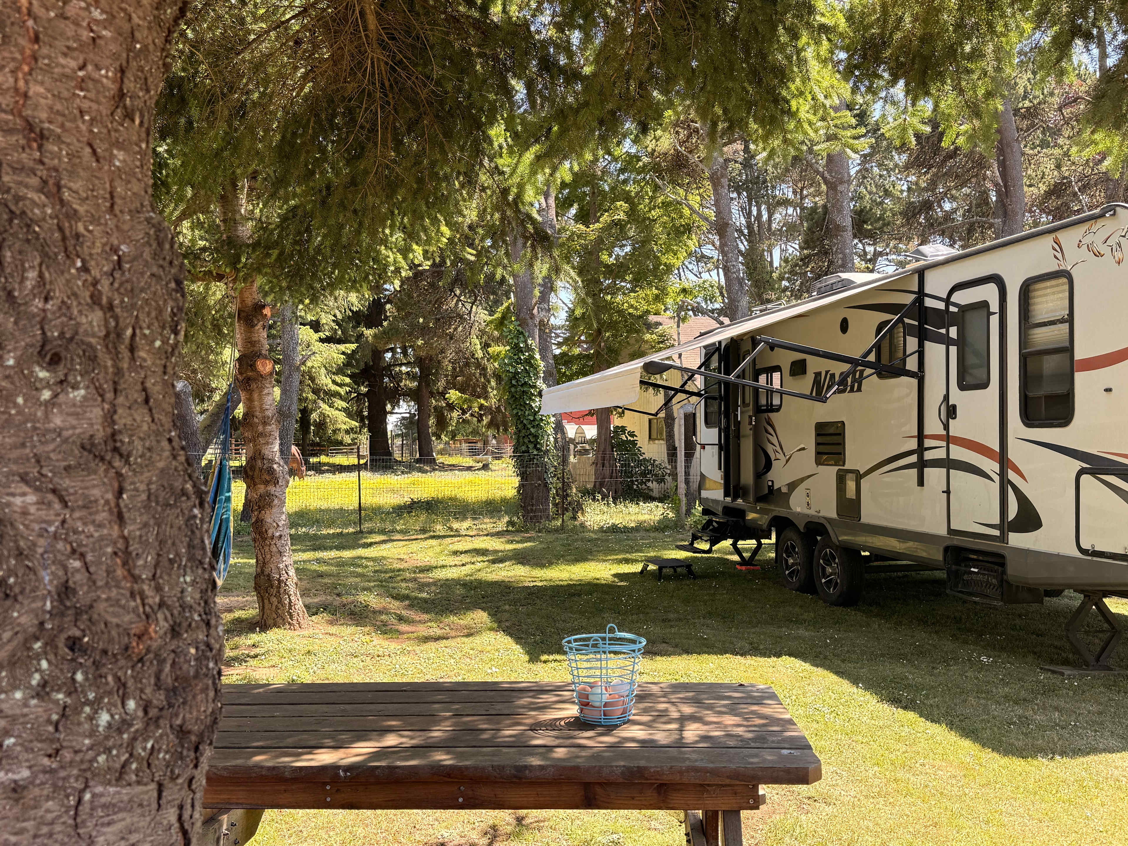 Lower Lake Farm Camp