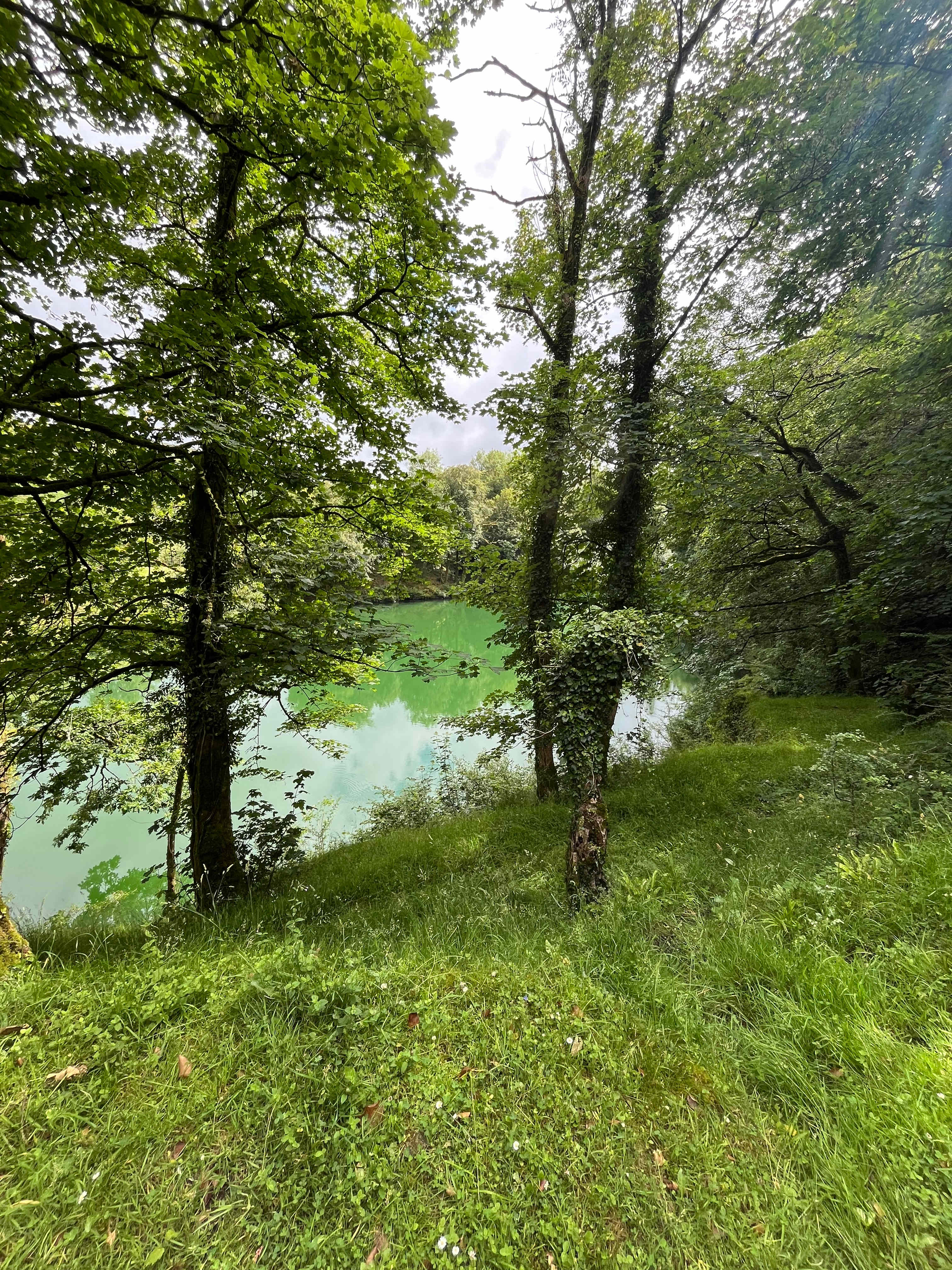 Meldon Lake and Woods Wild Camping