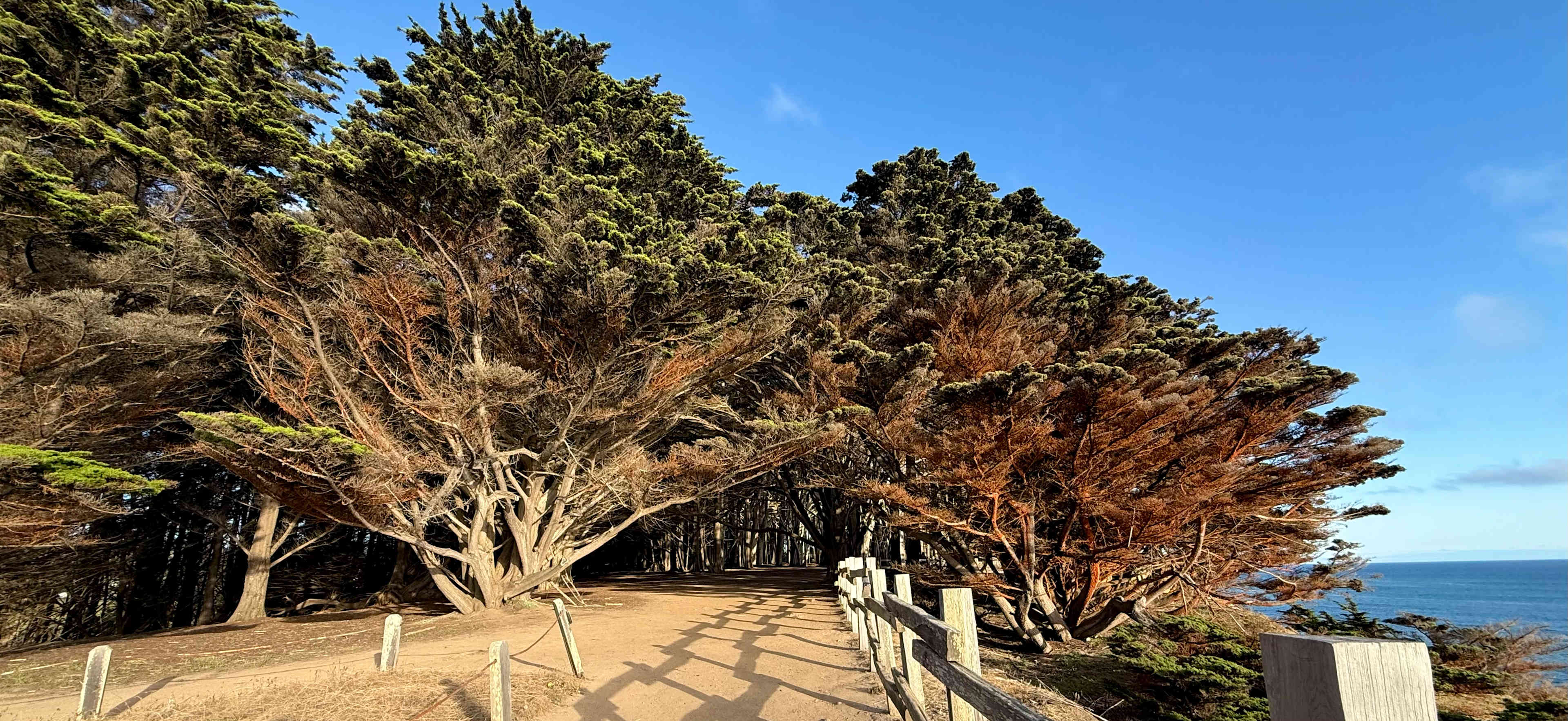 Ocean Cliffside Cottage Driveway