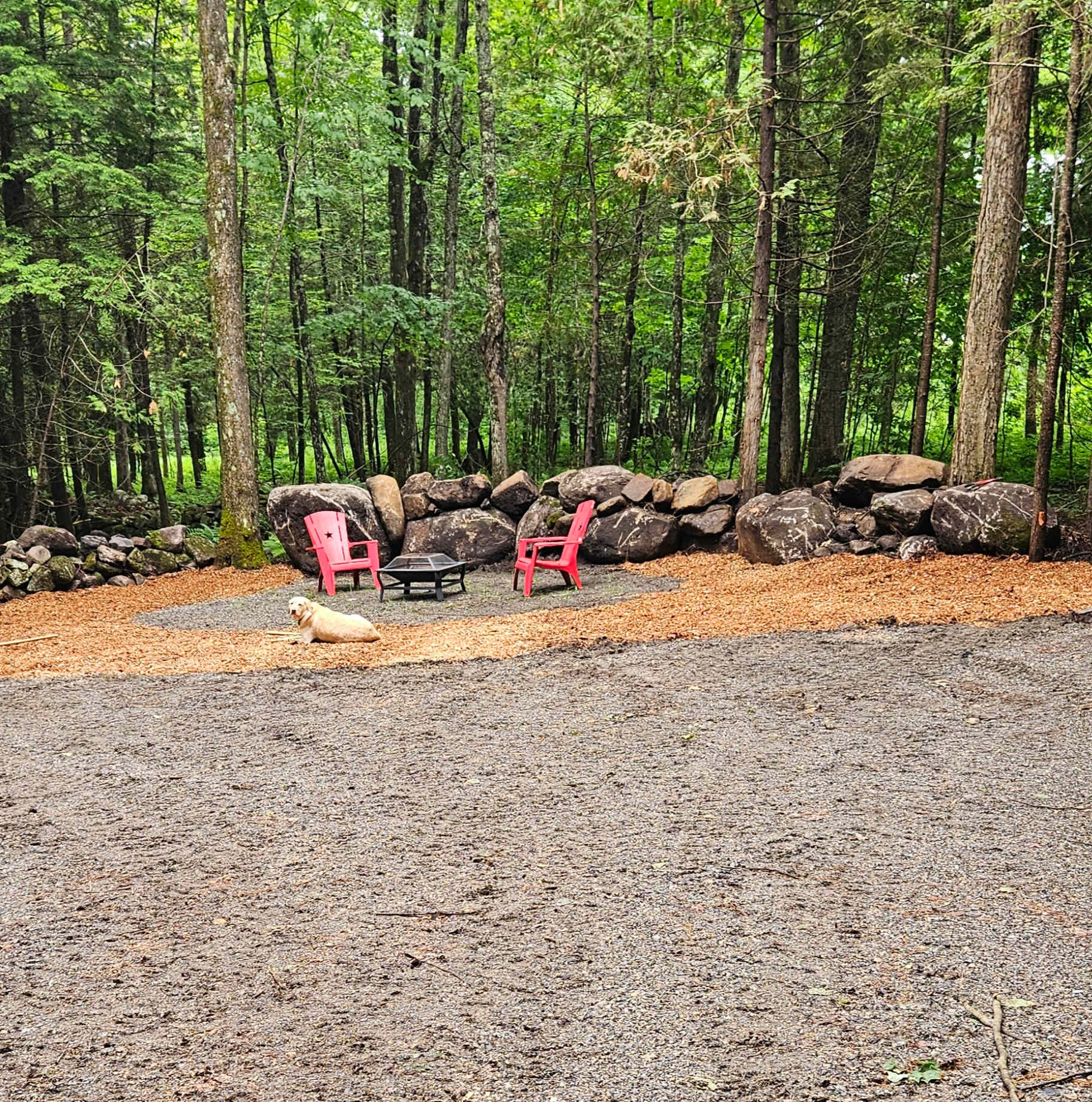 Picture of the site