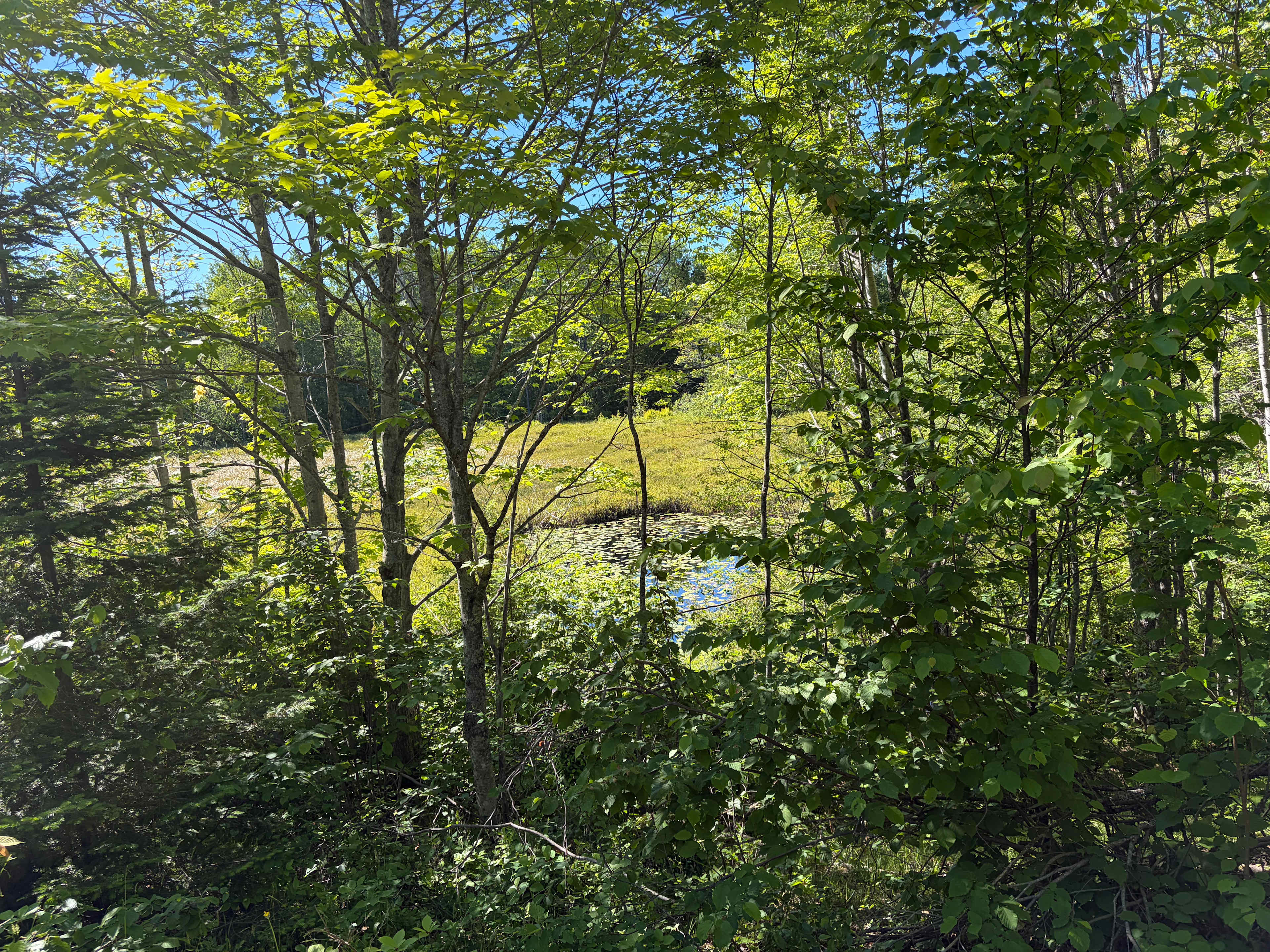 Keweenaw Homestead Camping