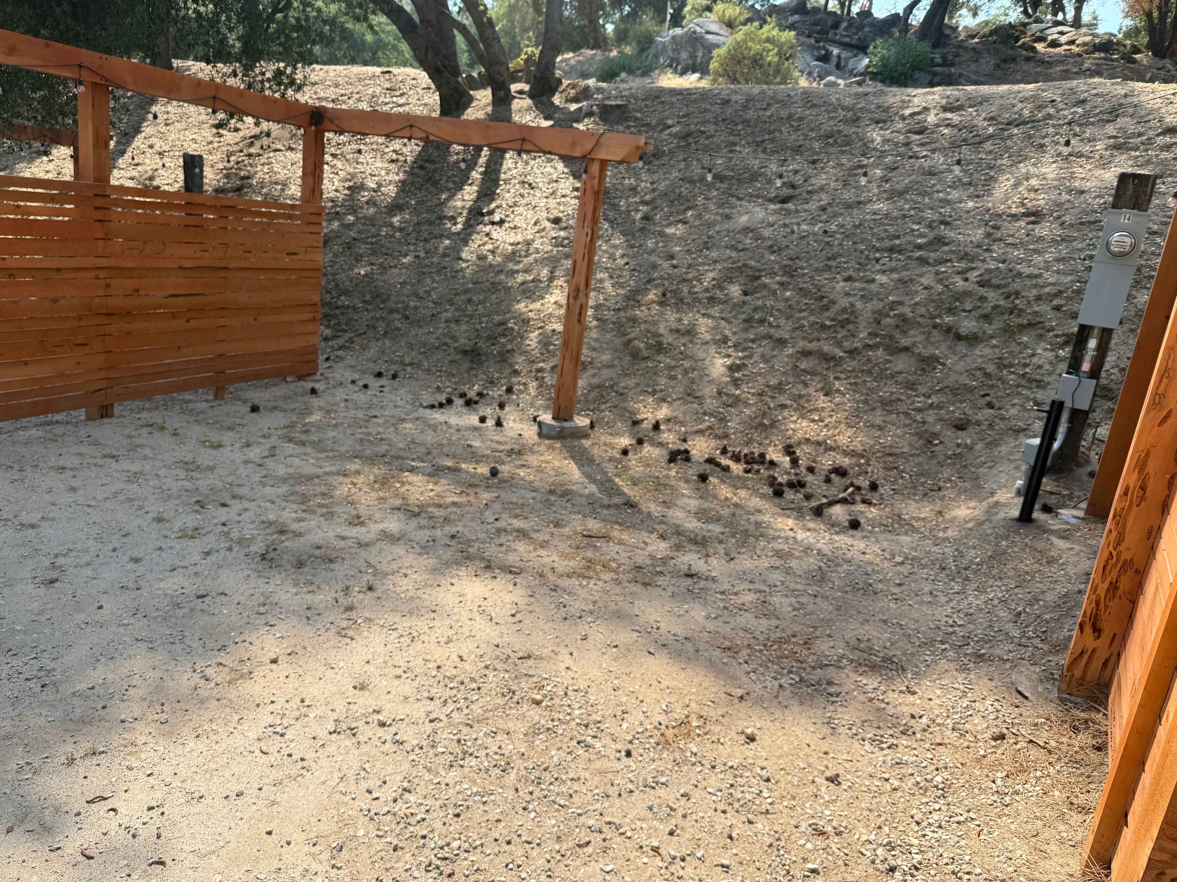 Picture of the site