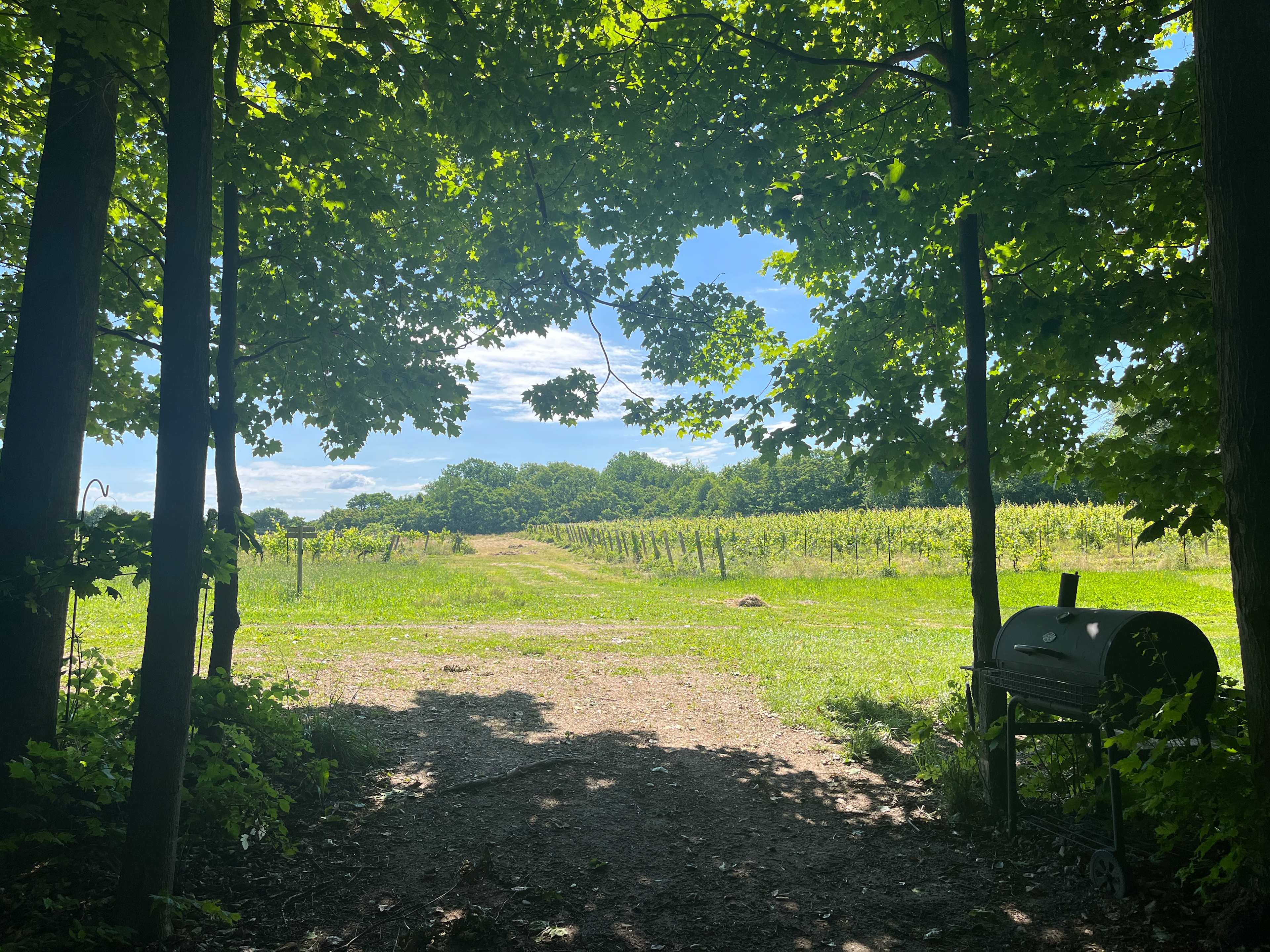Mulln-Heim Vineyards