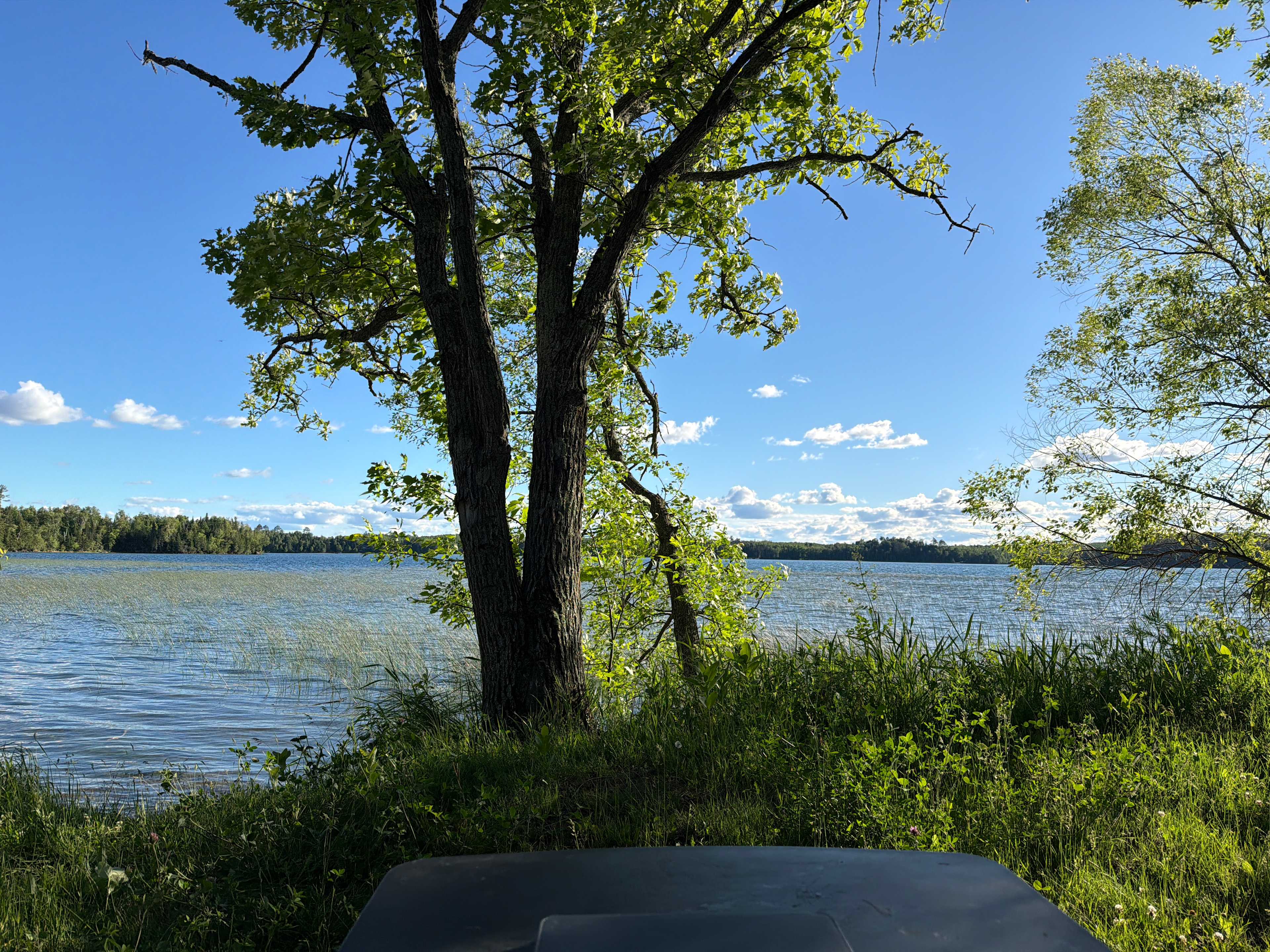 The Trout Lake Campground