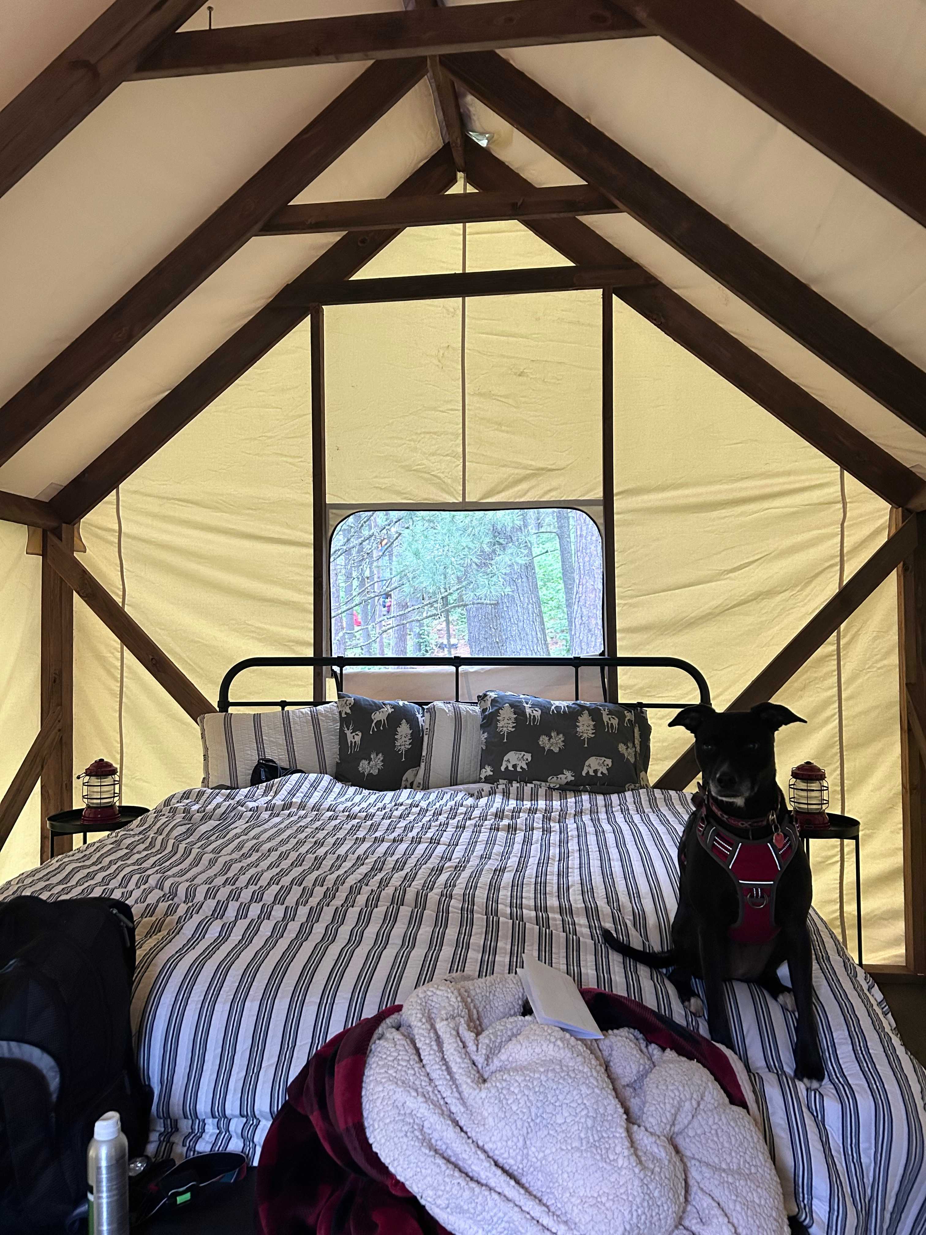 “Mom we need to upgrade to a king bed at home” 