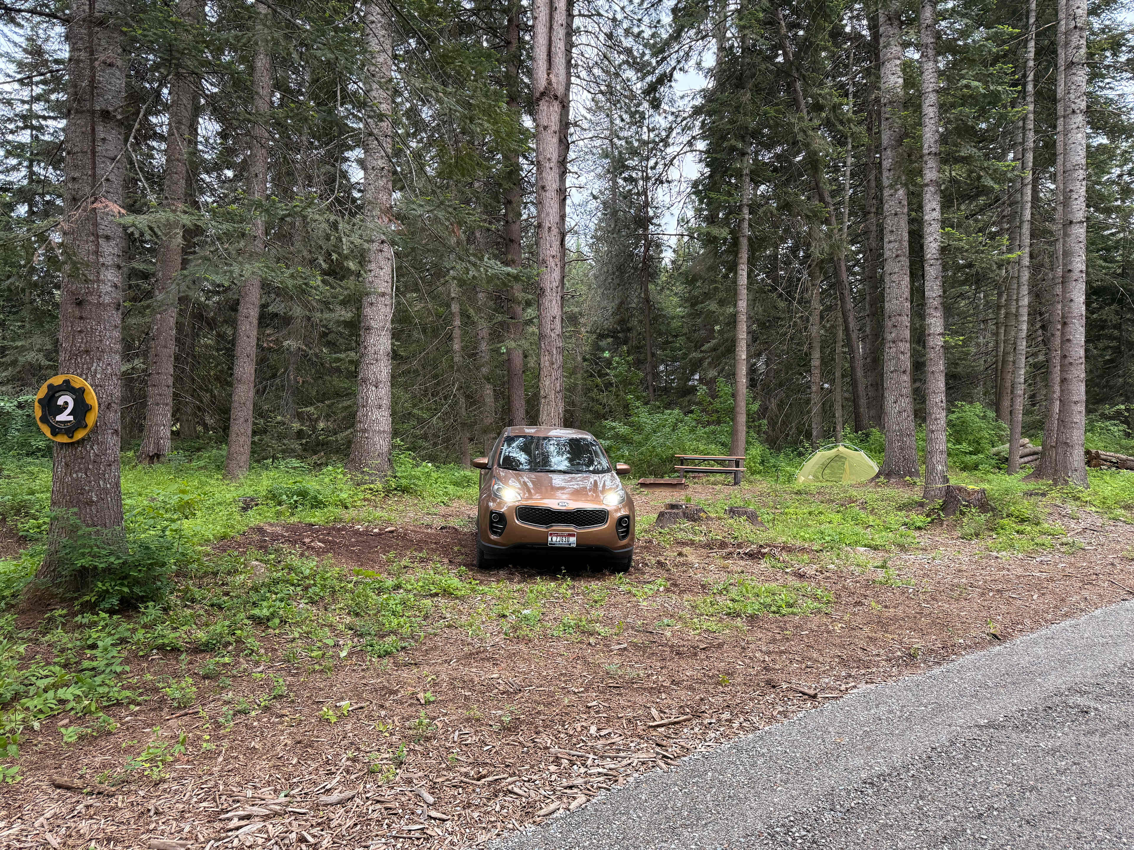 Picture of the site