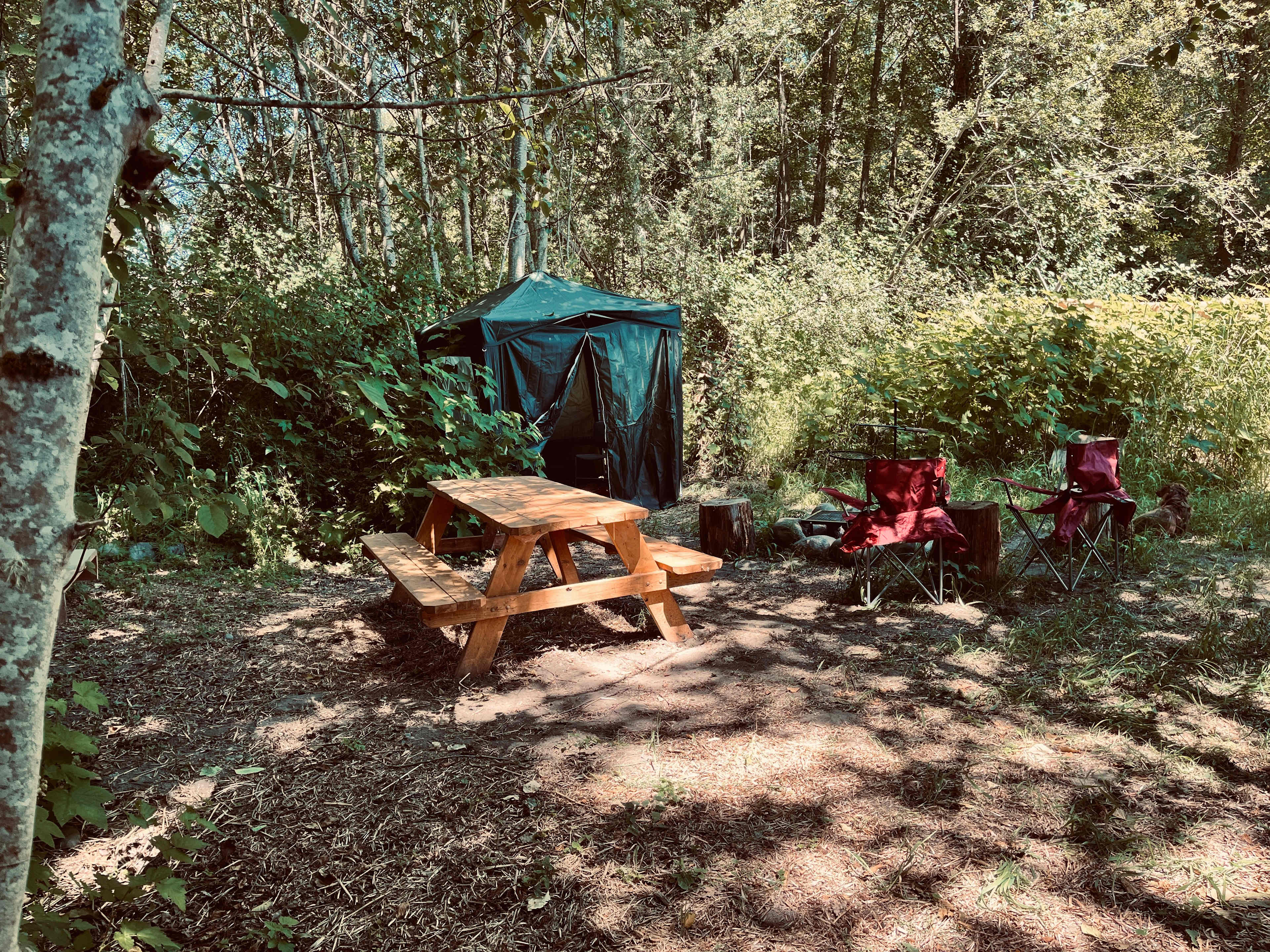 Picture of the site