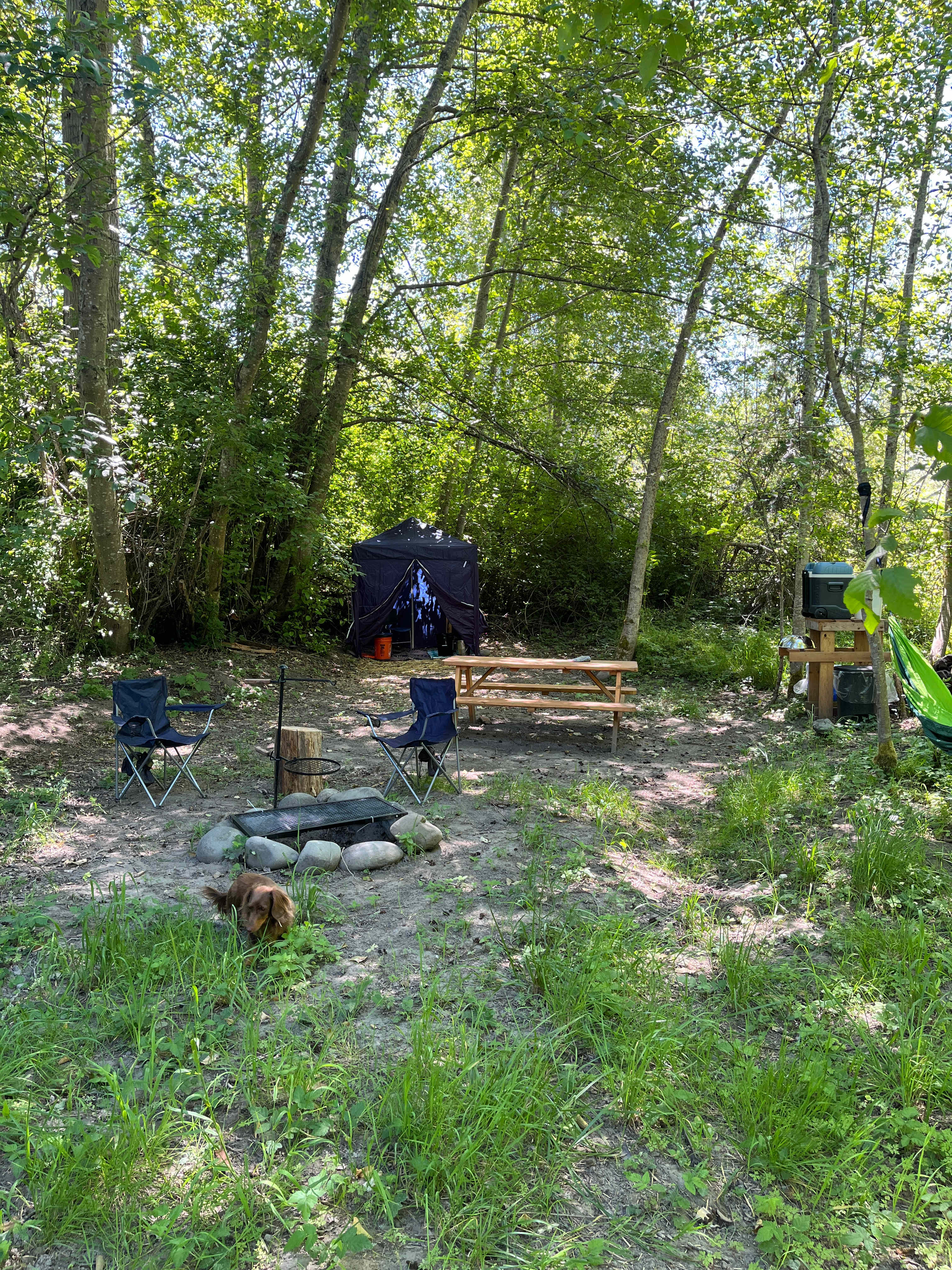 Dungeness Island Tent Sites