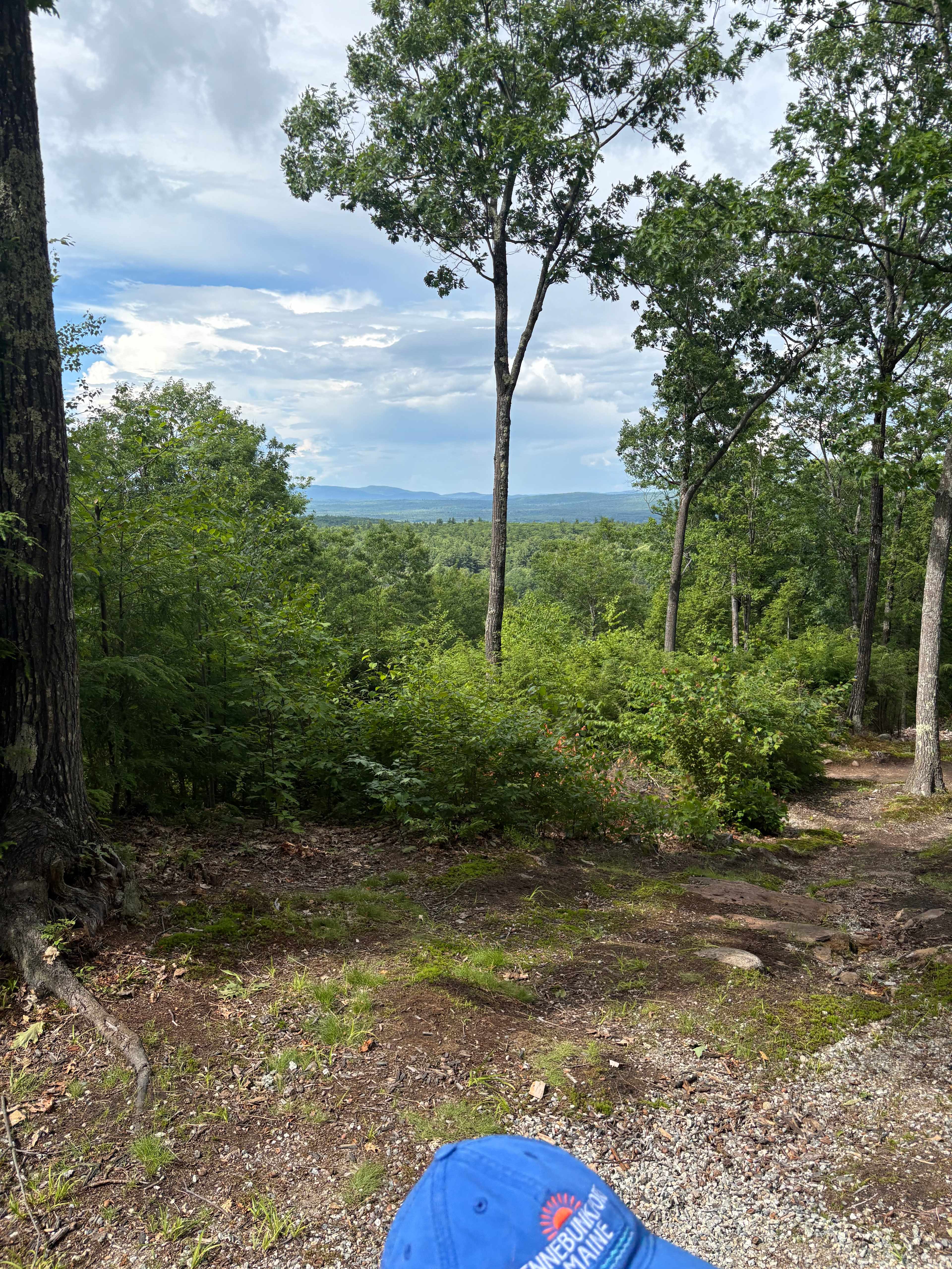 Hussey Mountain Tree Farm
