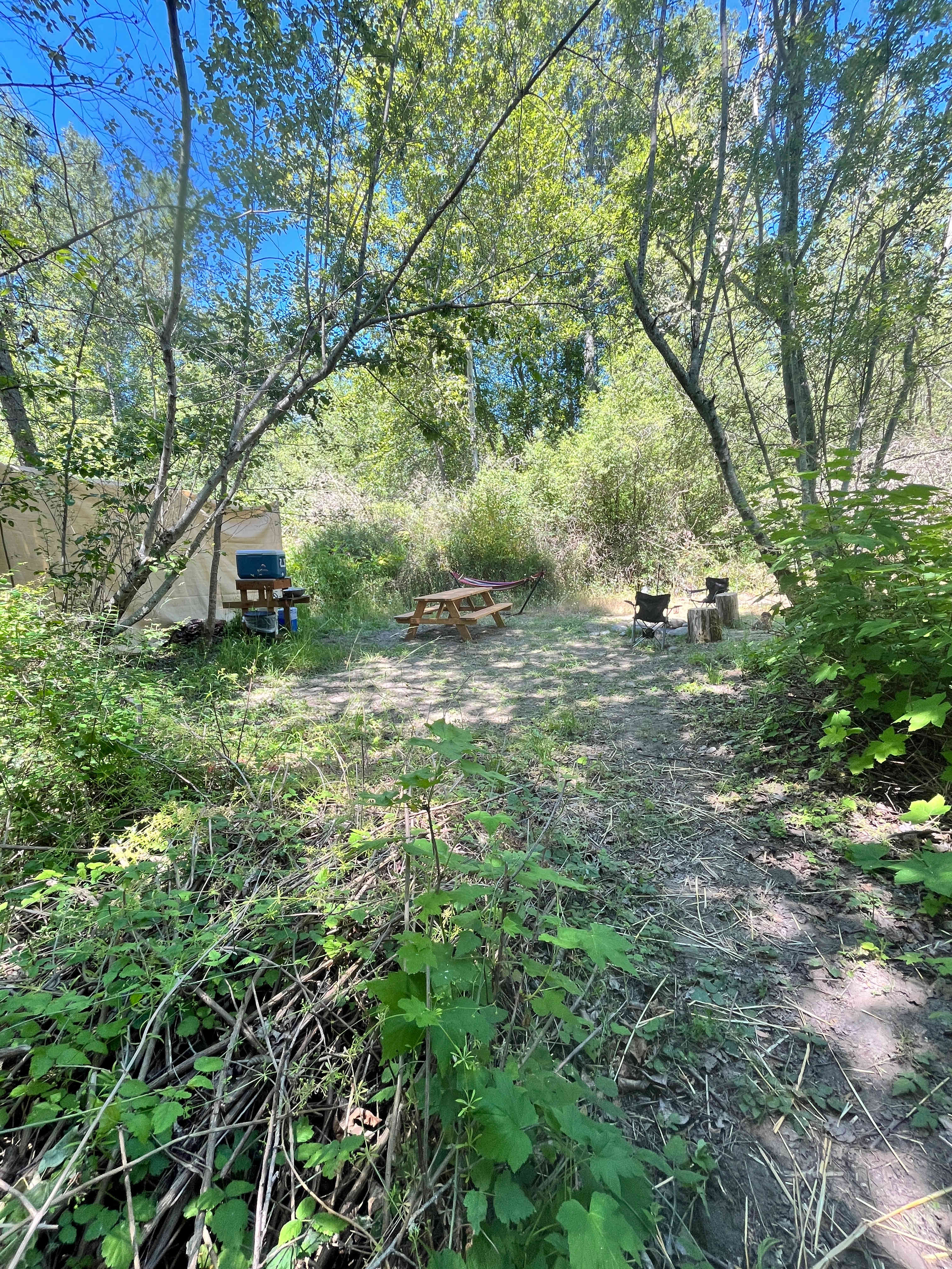 Picture of the site
