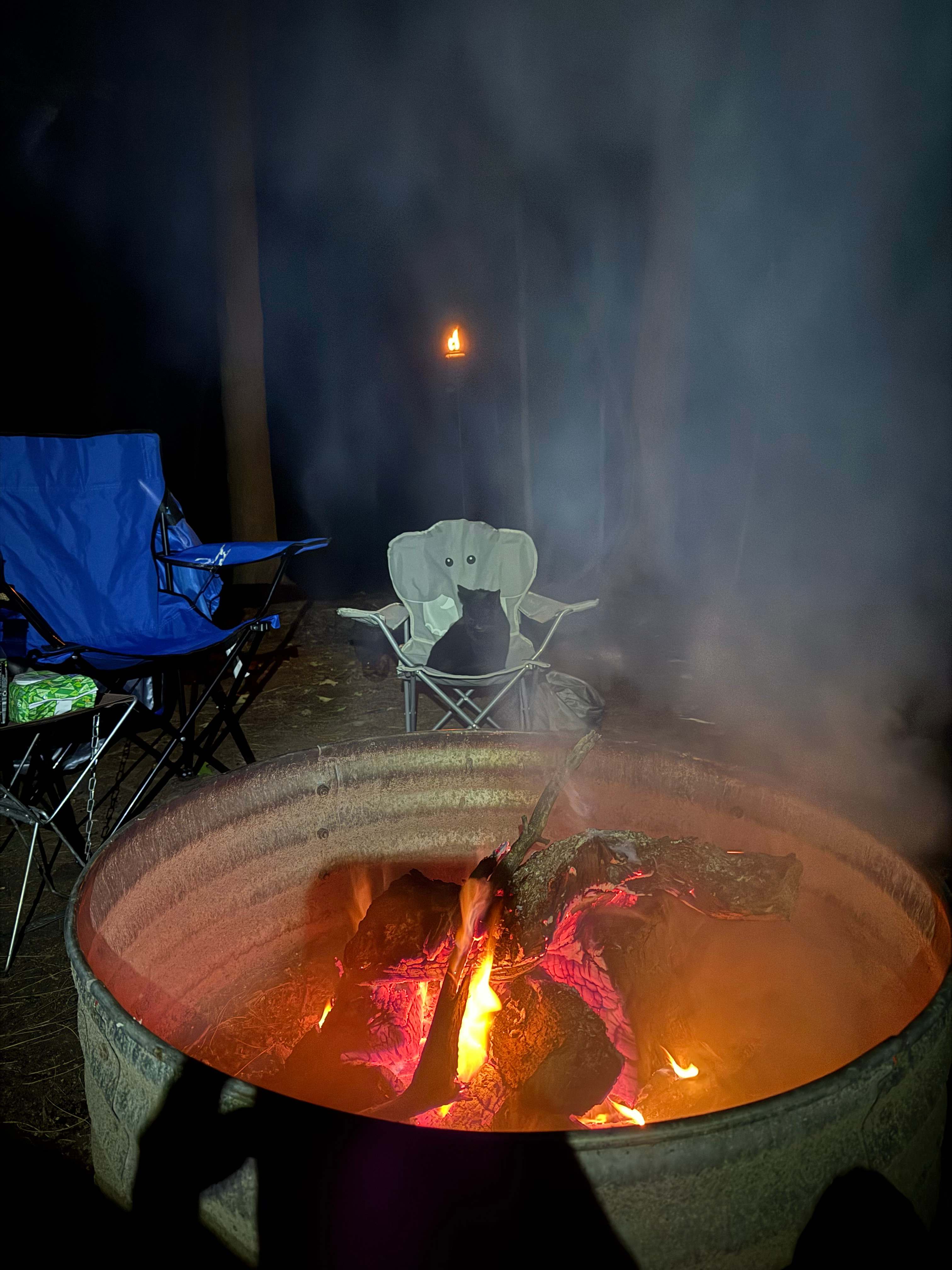 Fireside guest