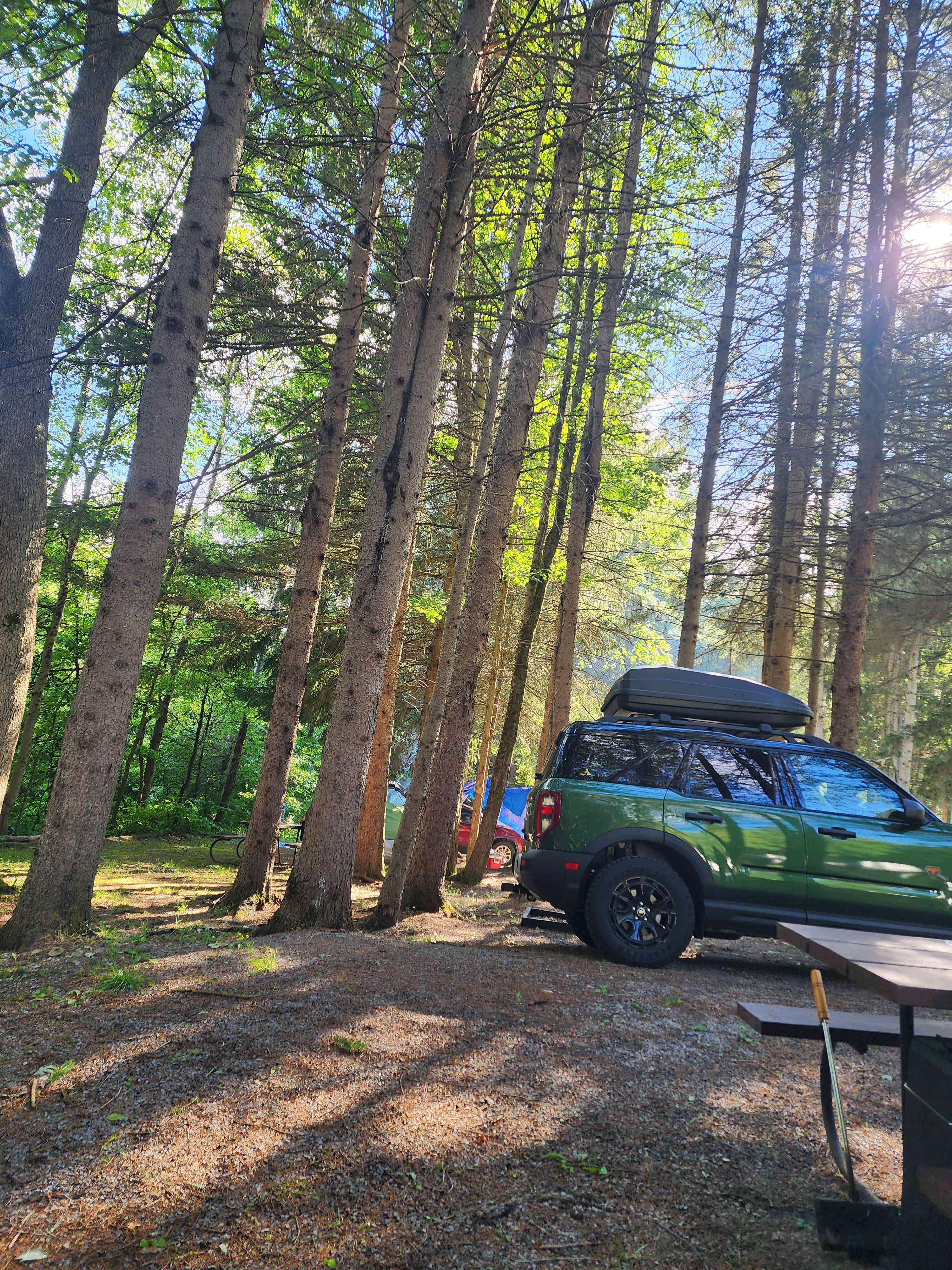 Forest Camping with Modern Comfort