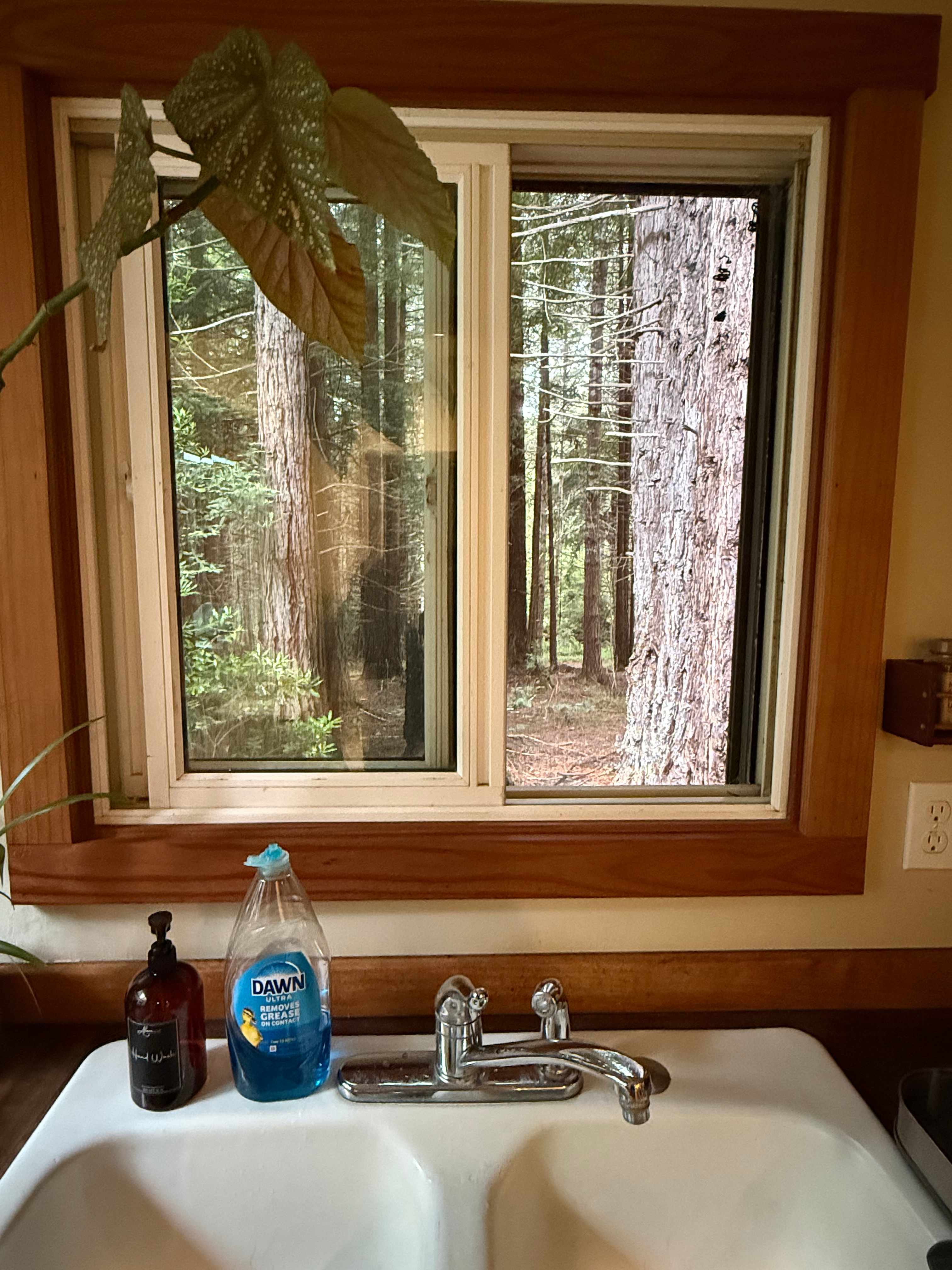 Kitchen view