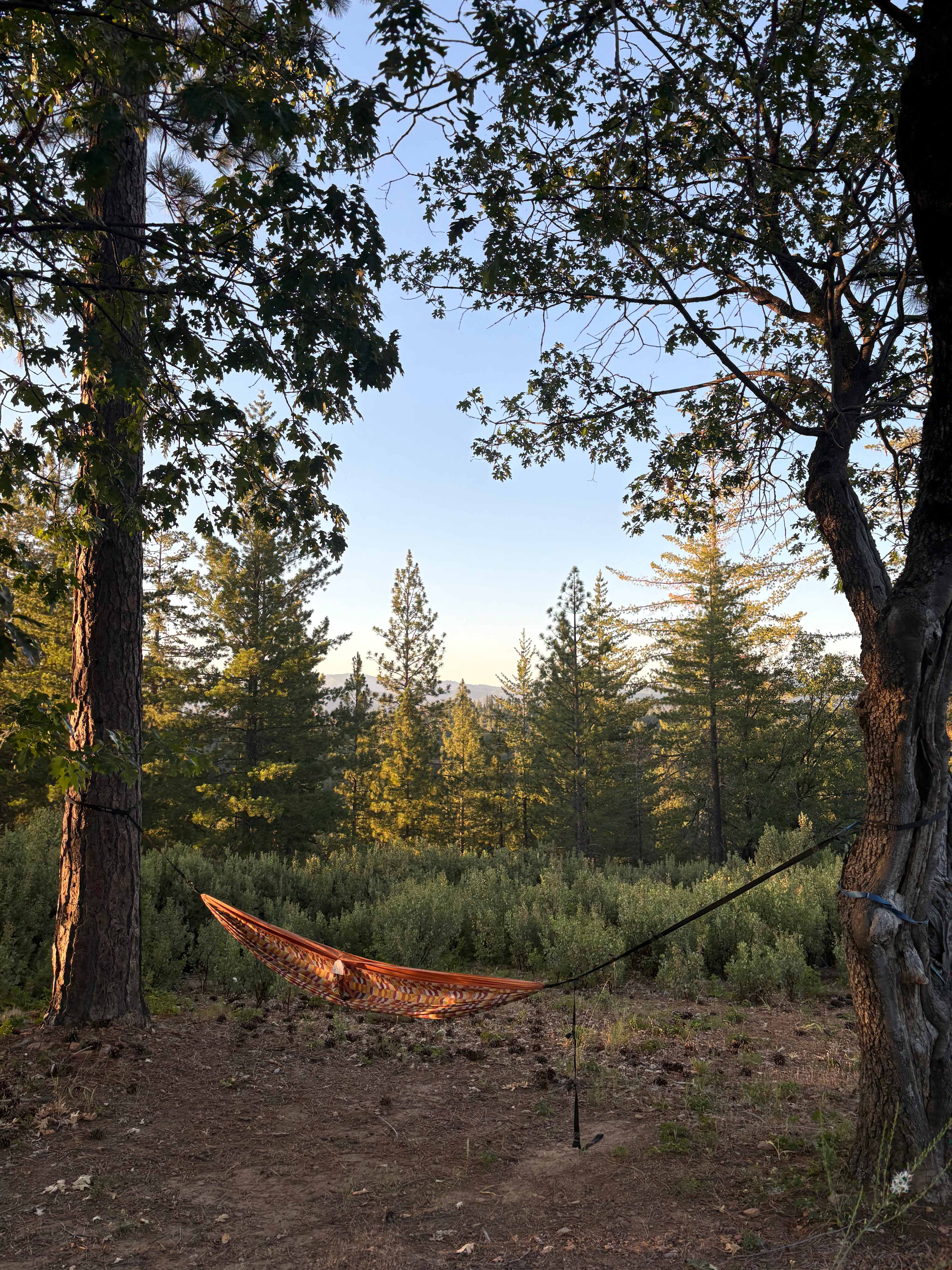 BaseCampByBo!