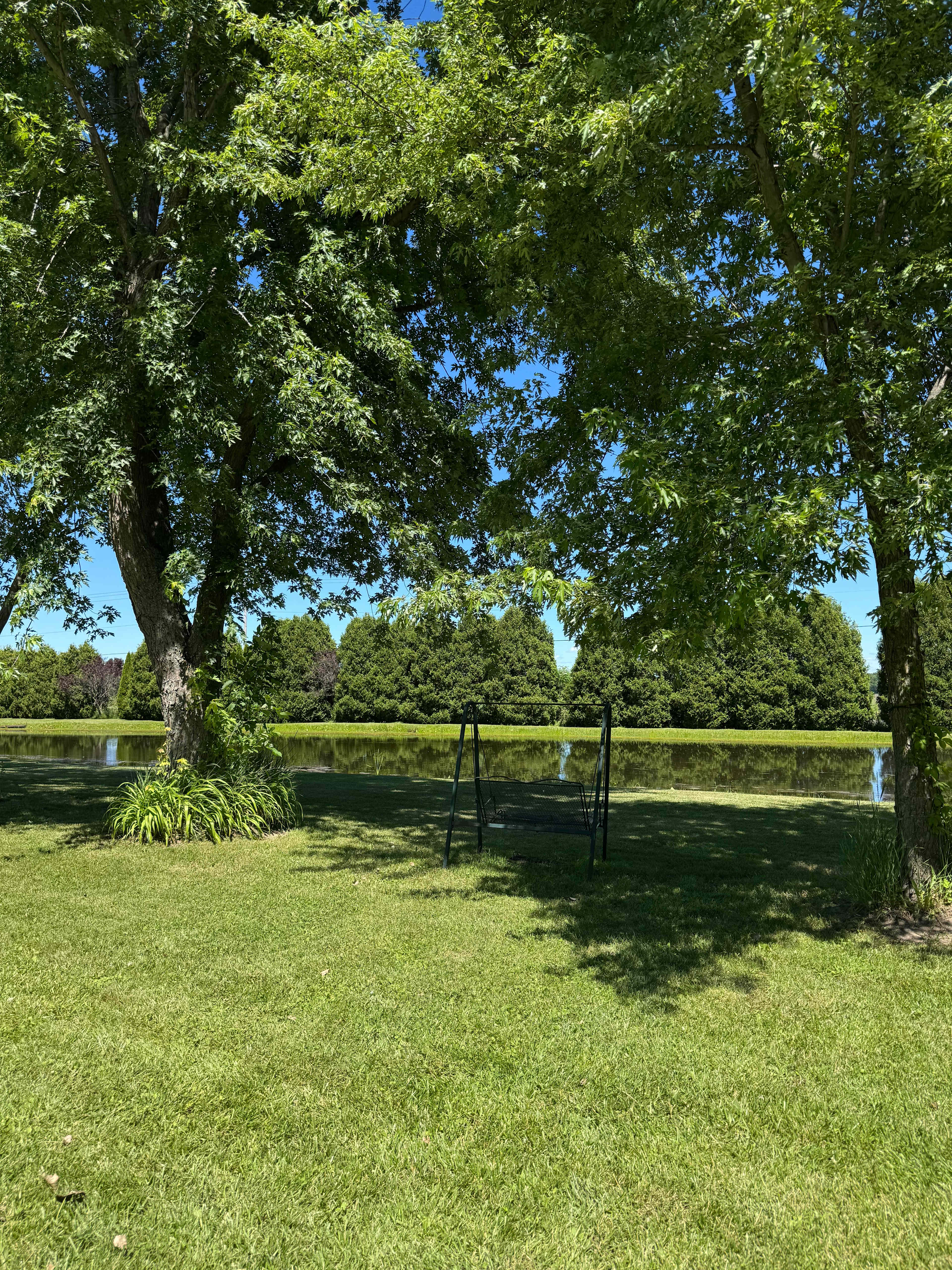 The Once a Pond A Time Campsites