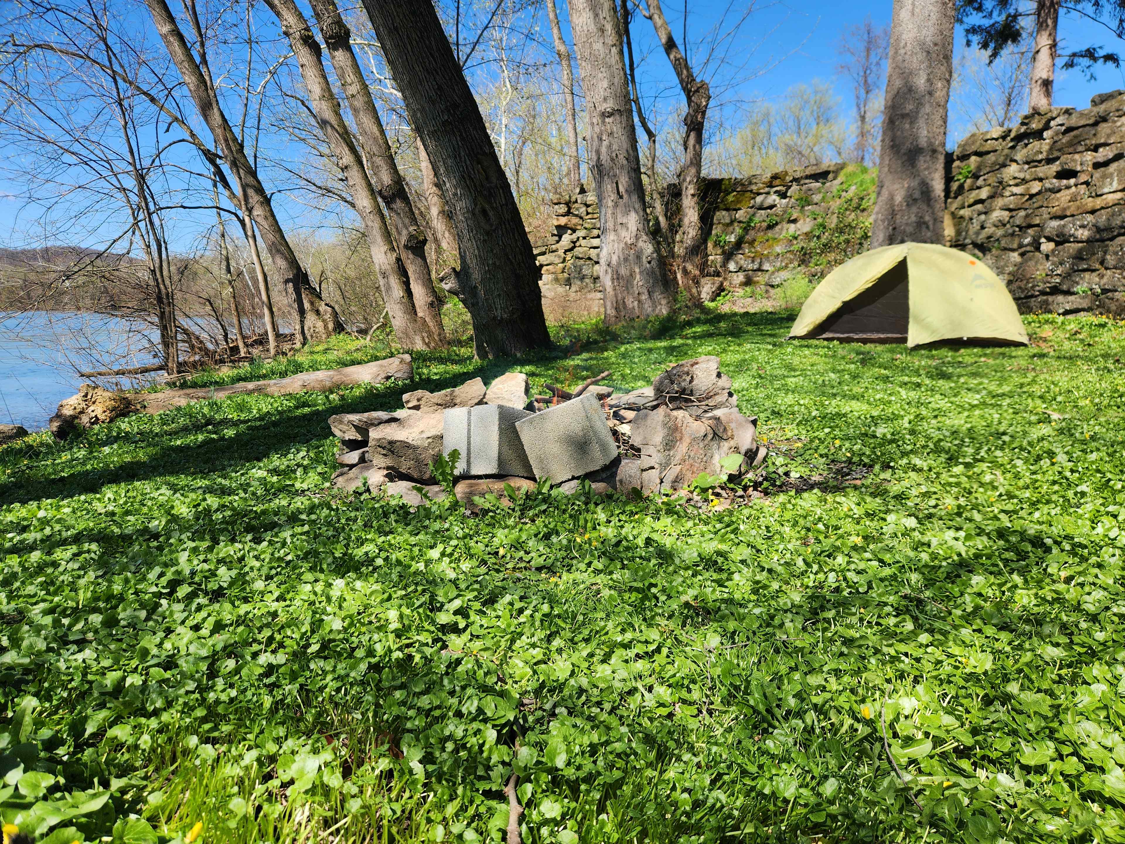 Picture of the site
