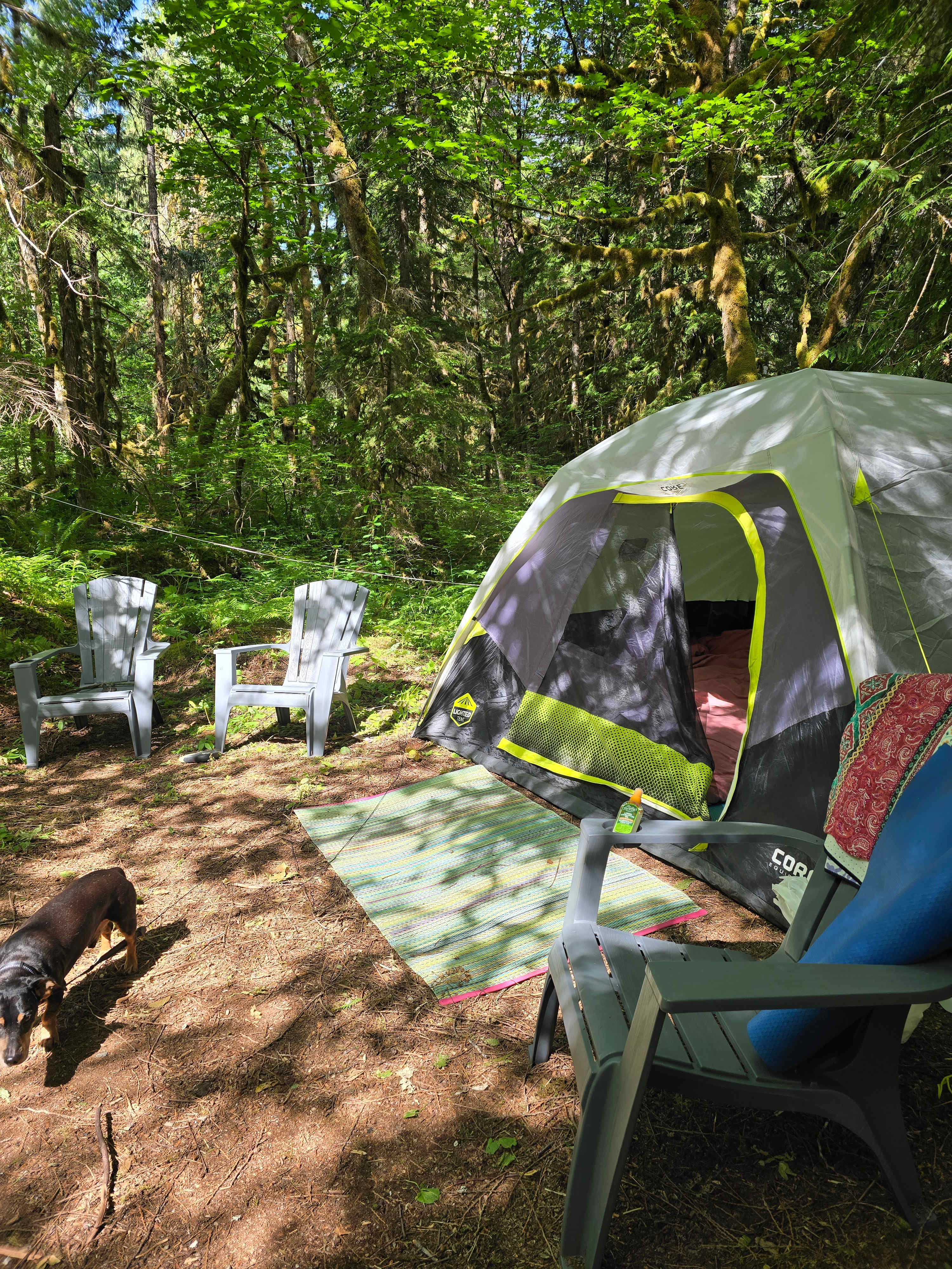 My too big tent for me
