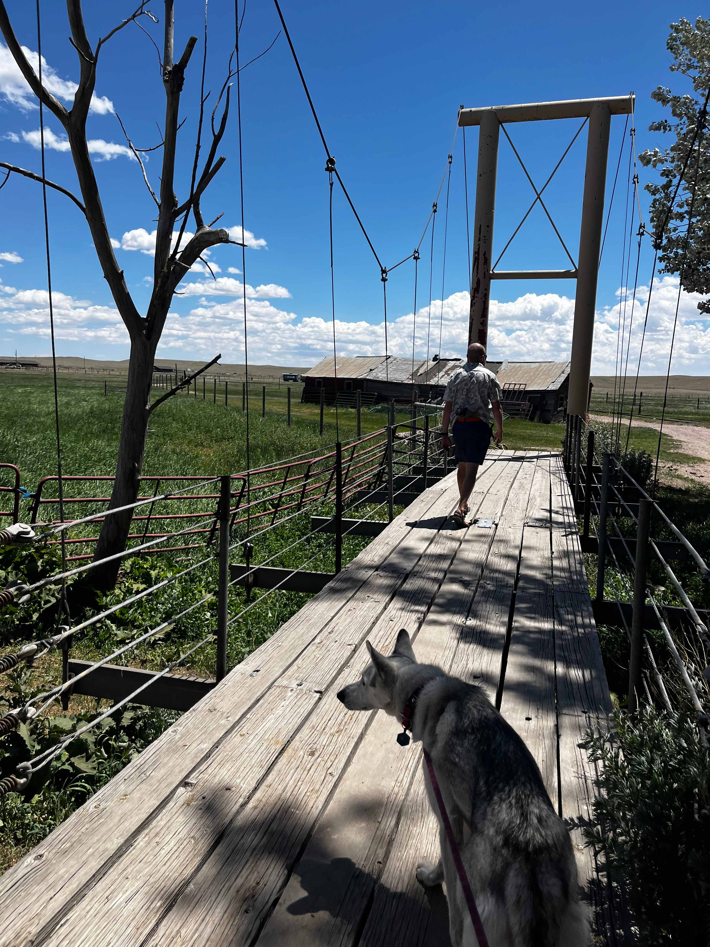 Terry Bison Ranch Resort