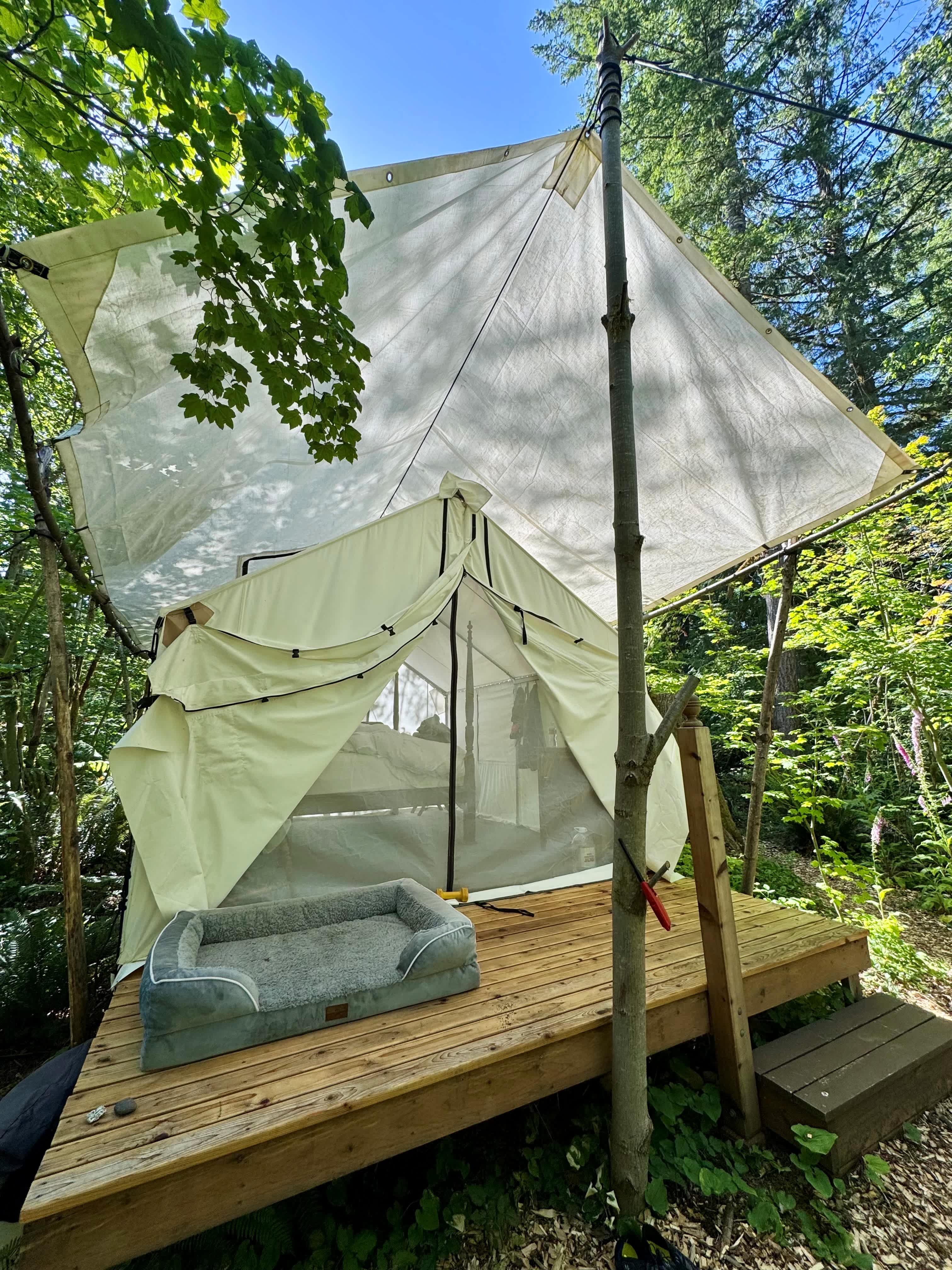 Forest and River Glamping Refuge