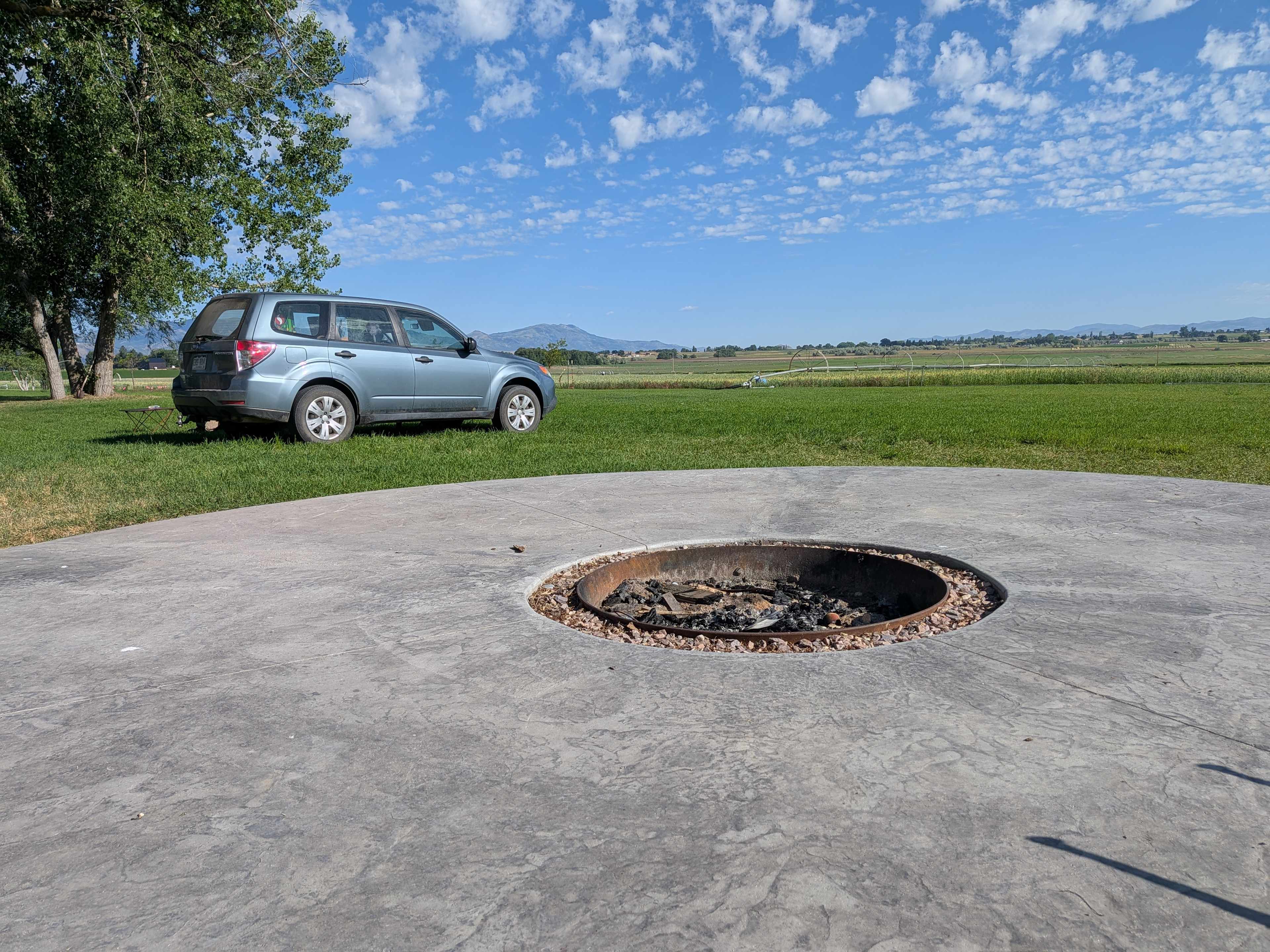 Picture of the site