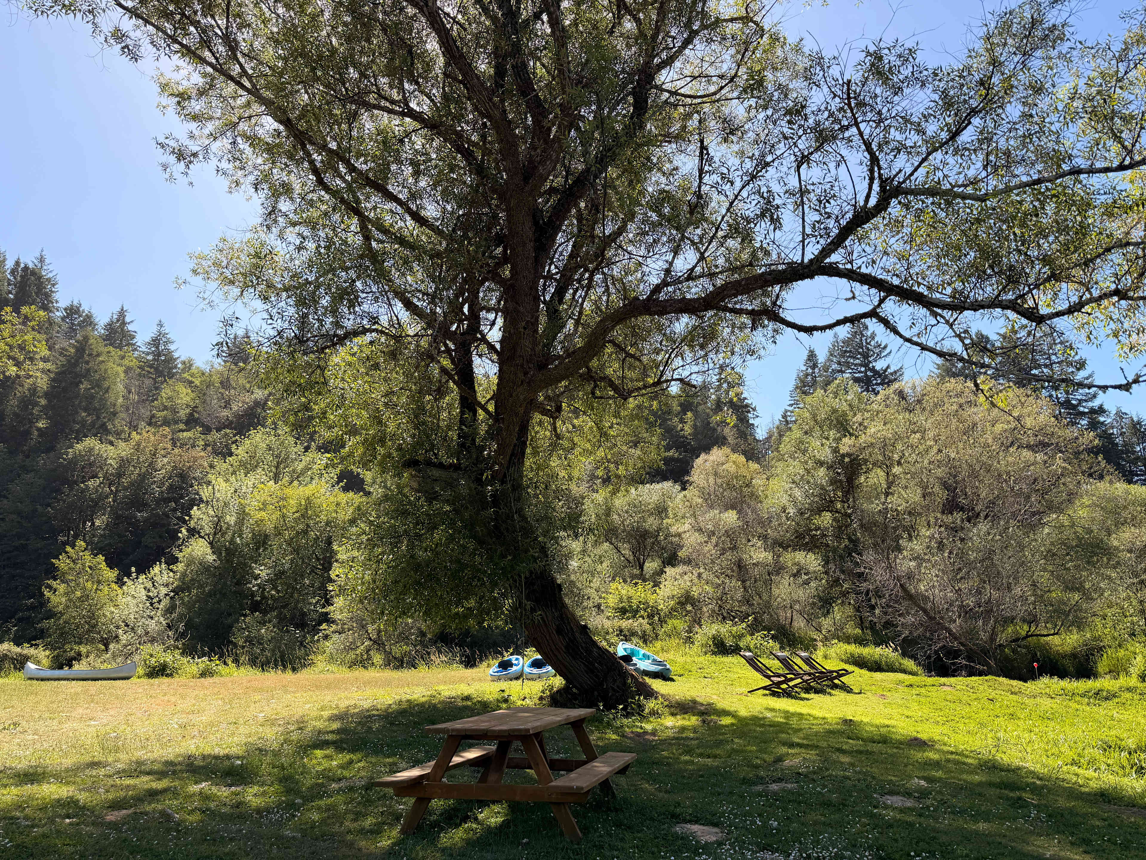 The Park at Loon Lake