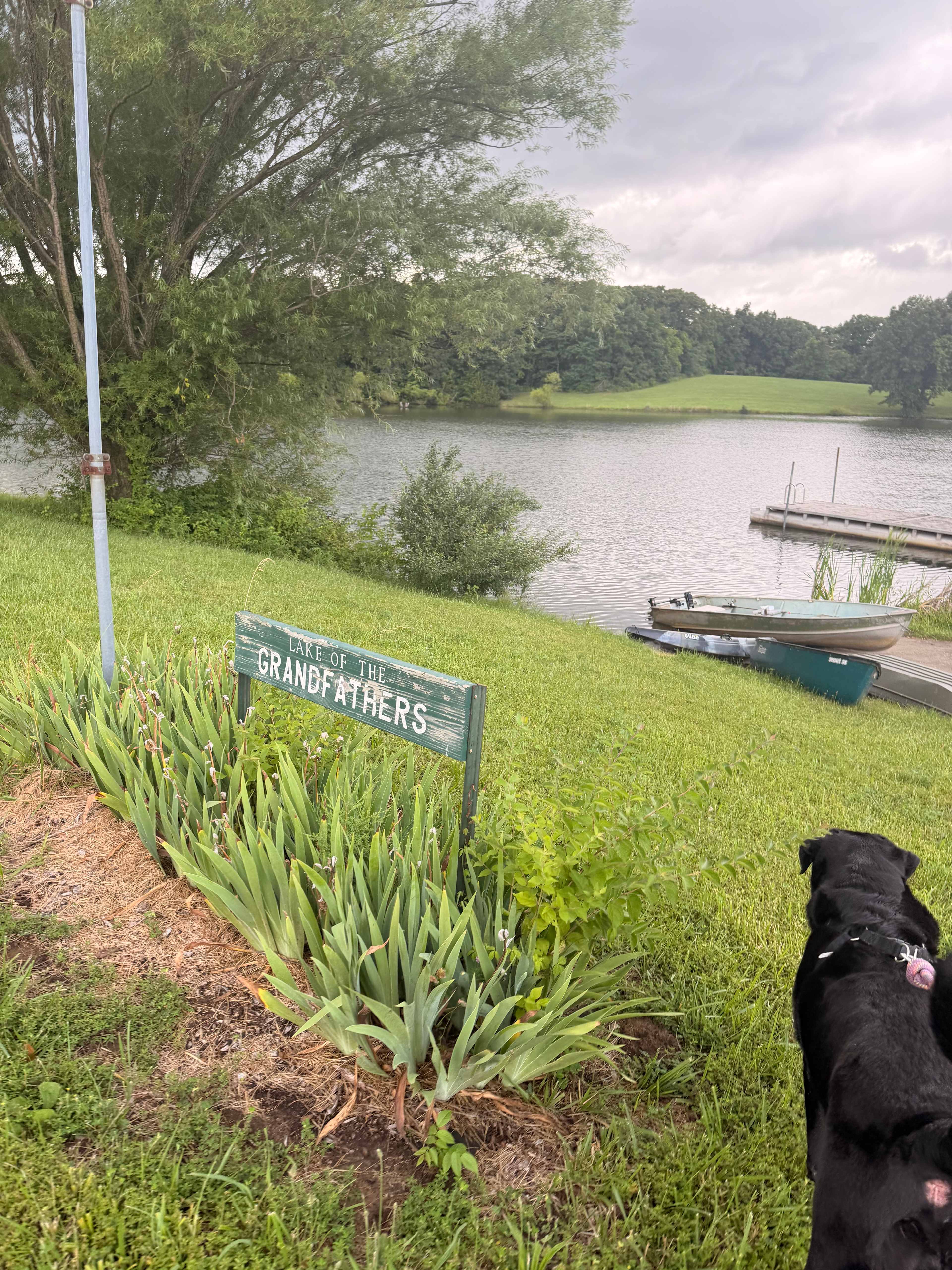 PeaceTree Farms
