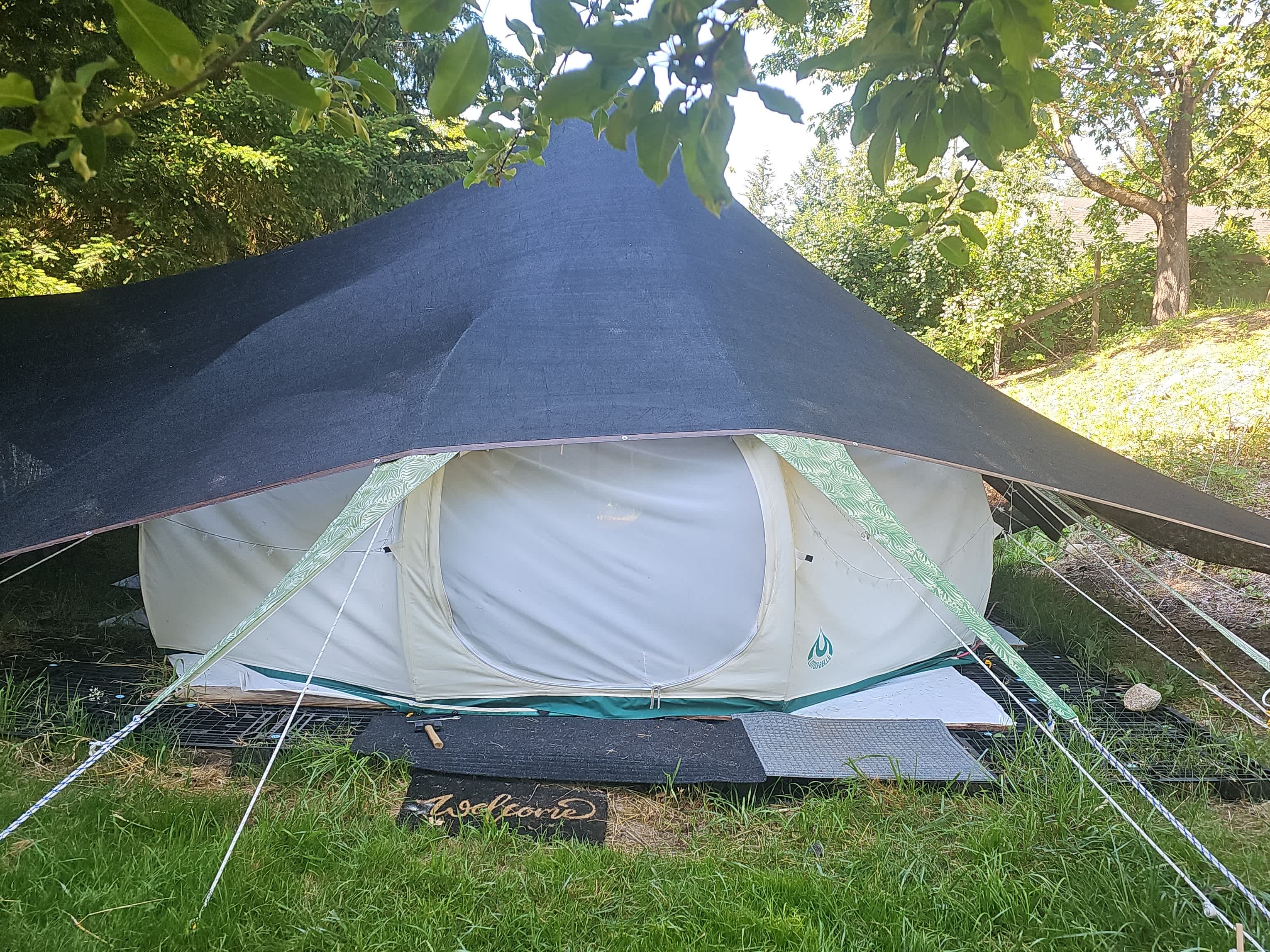 Picture of the site