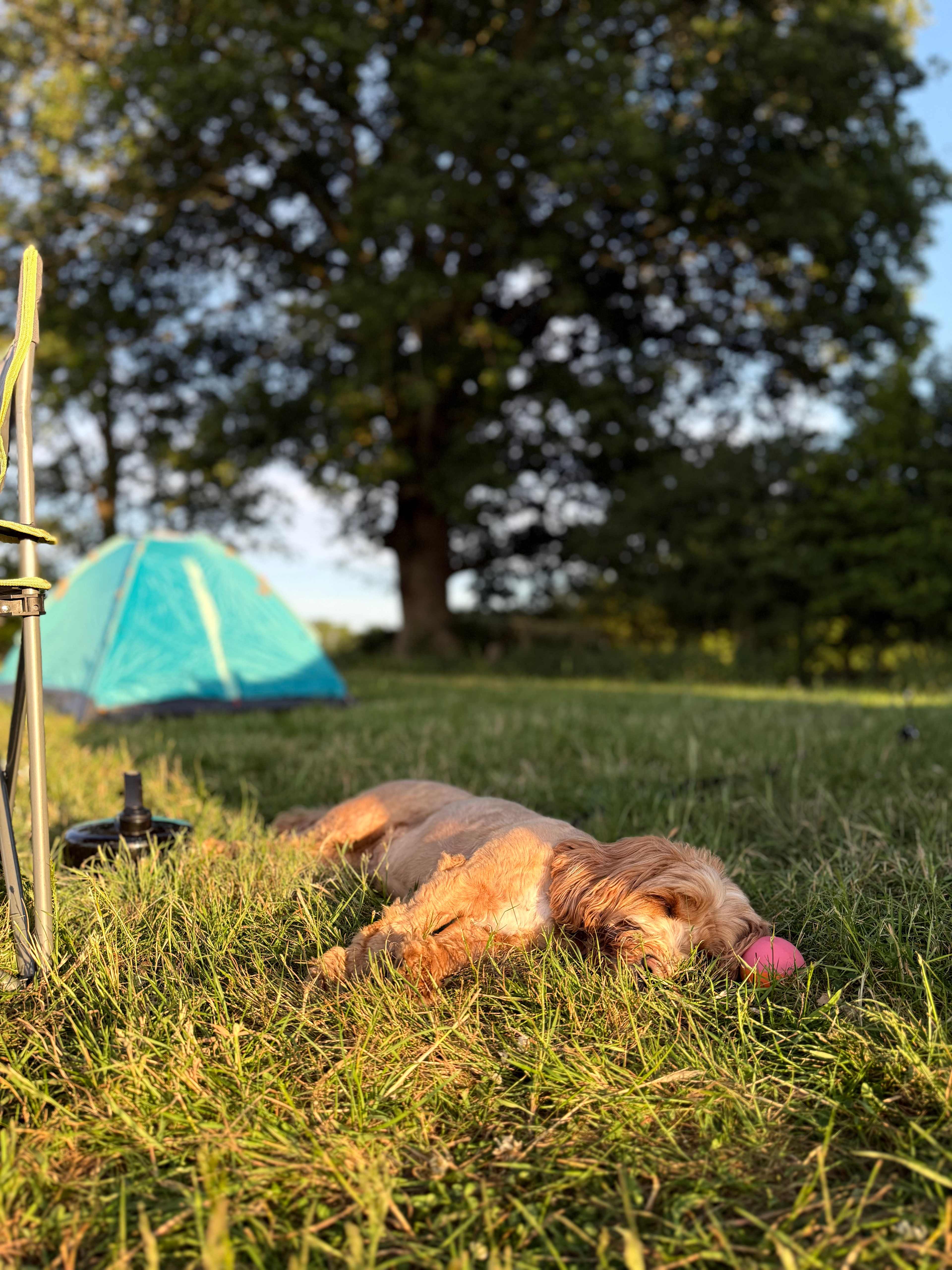 Far and Away Camping
