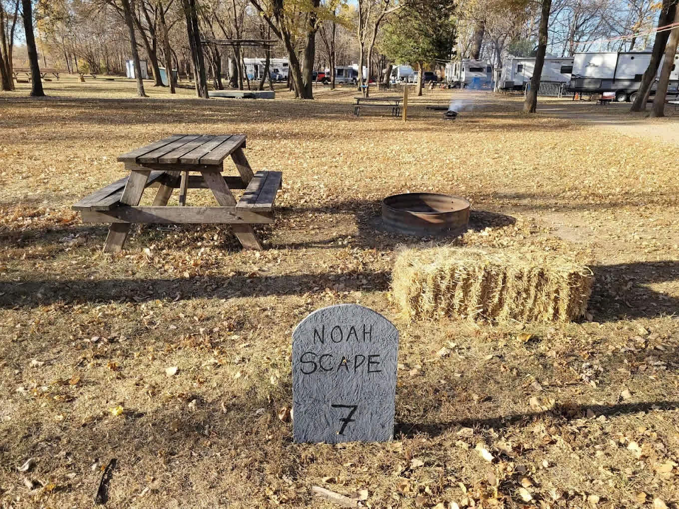 Picture of the site