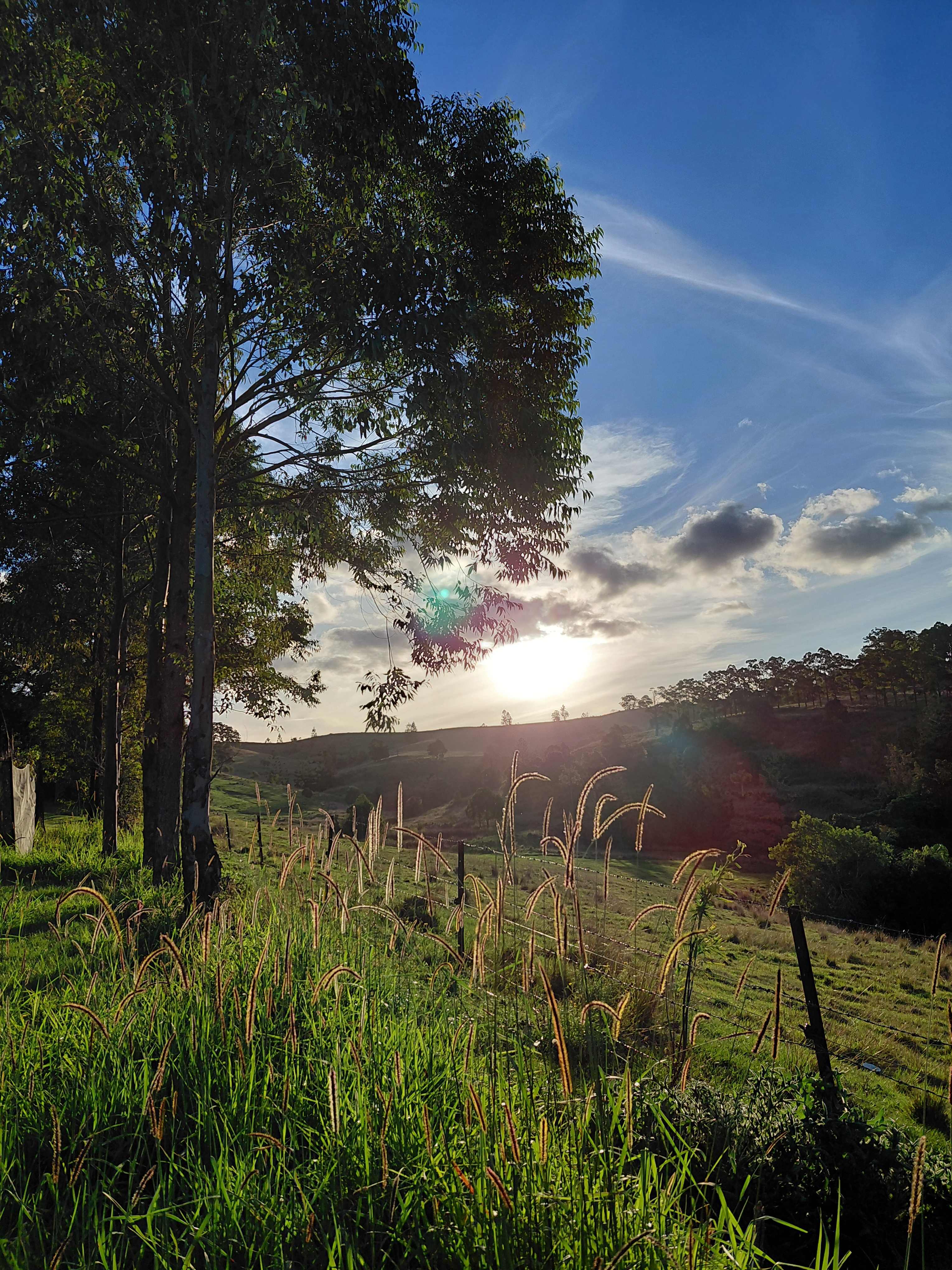 Oakey Ridge