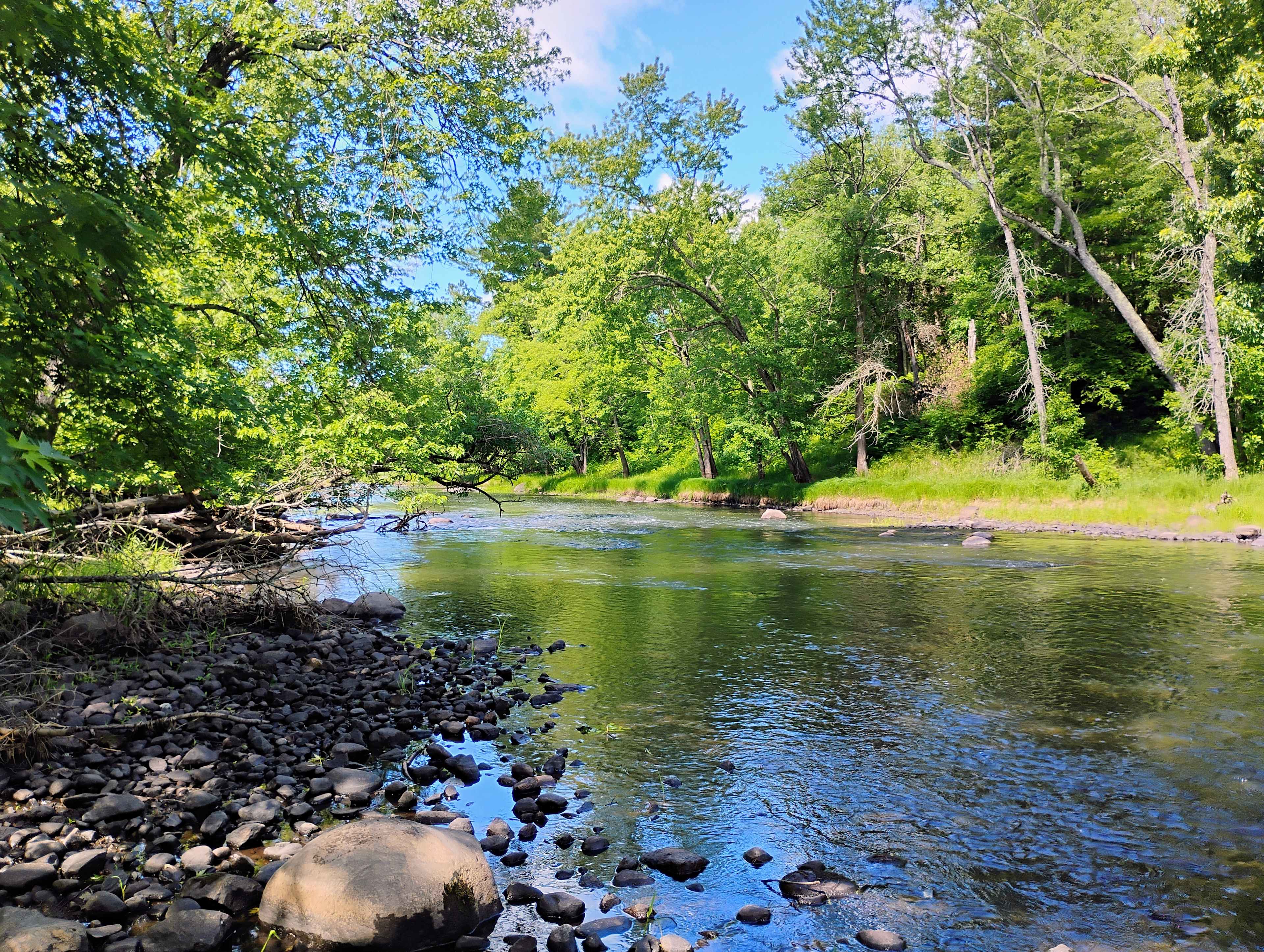 Winding Woods on Pine River