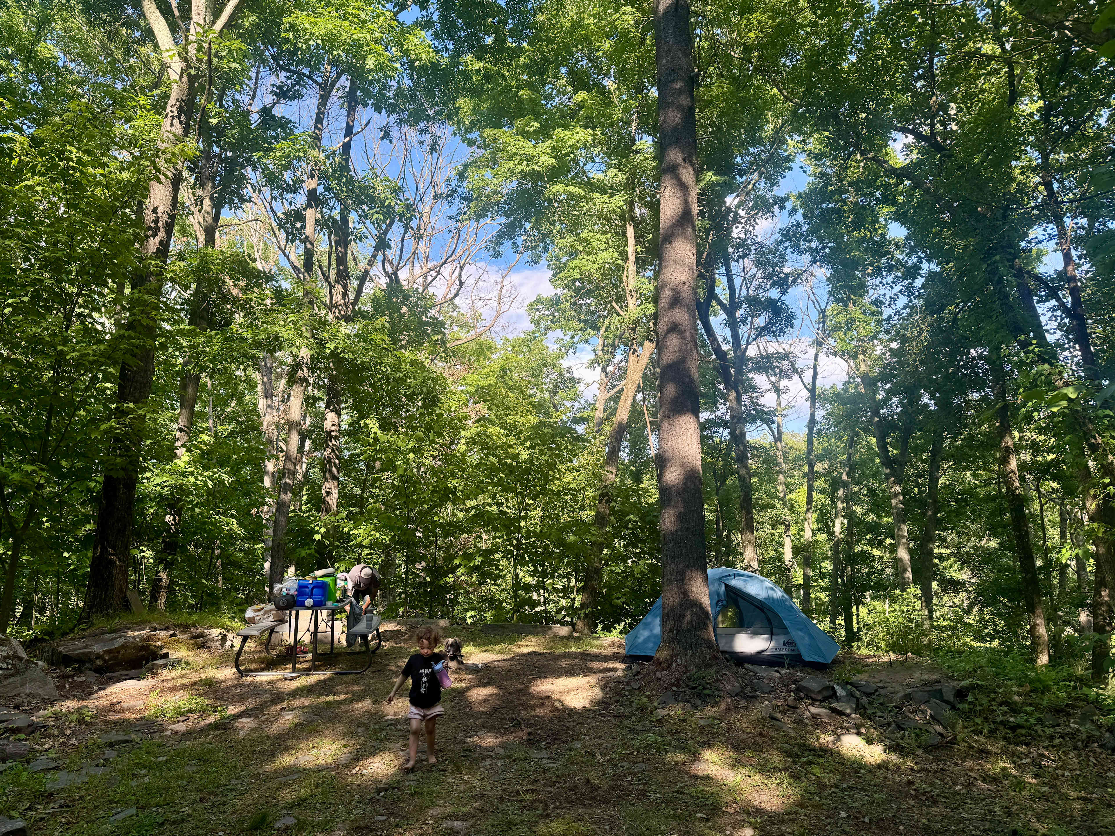 Peace And Quiet  in the Catskills