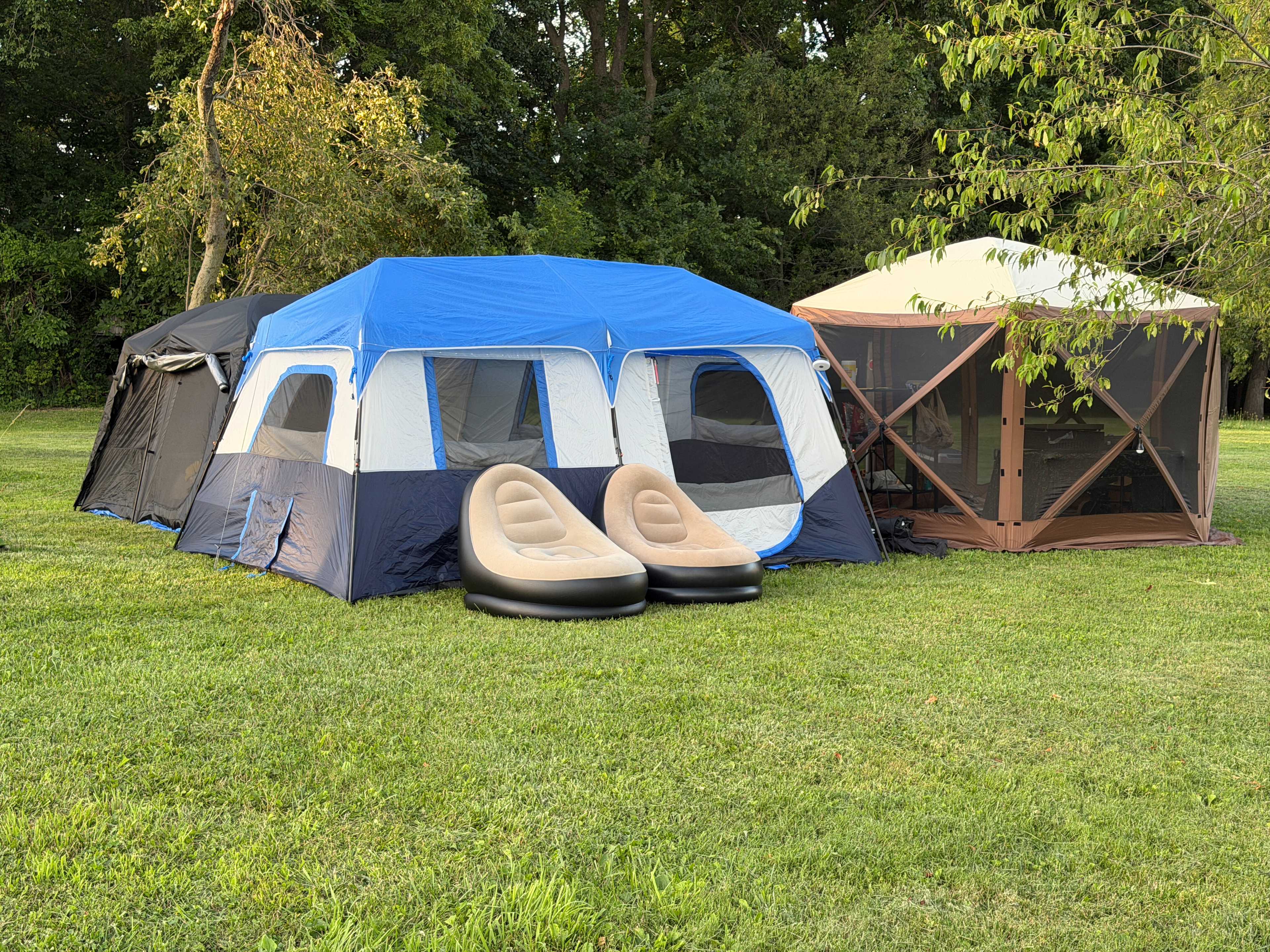 Our setup