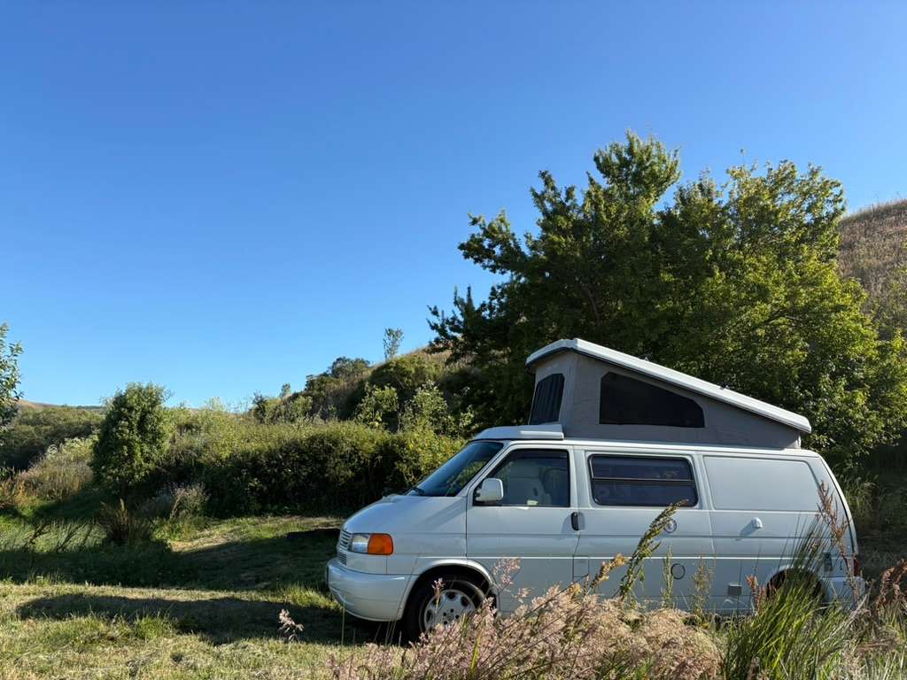 Estero San Antonio Wonderland