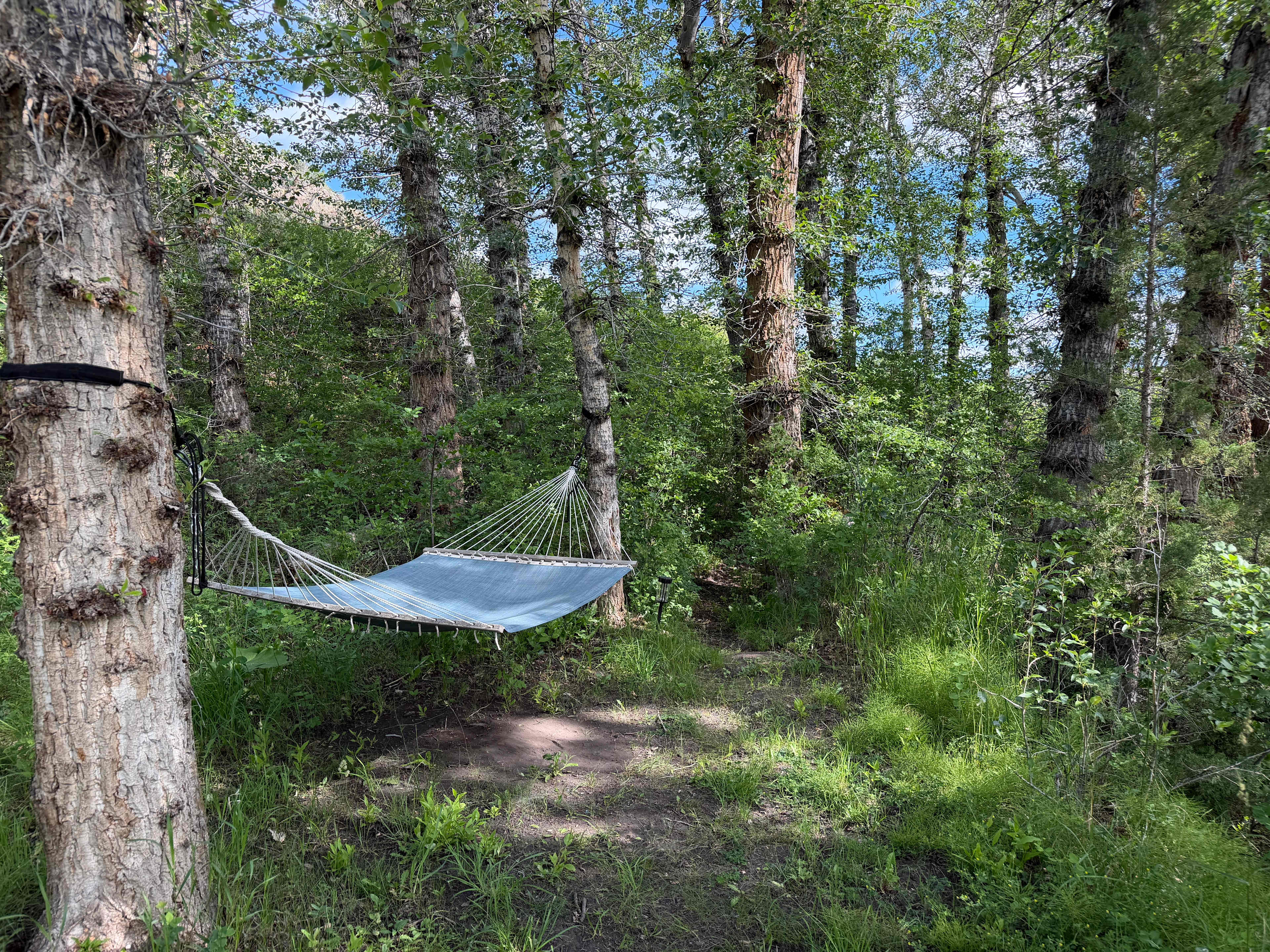 Miner Creek Campground