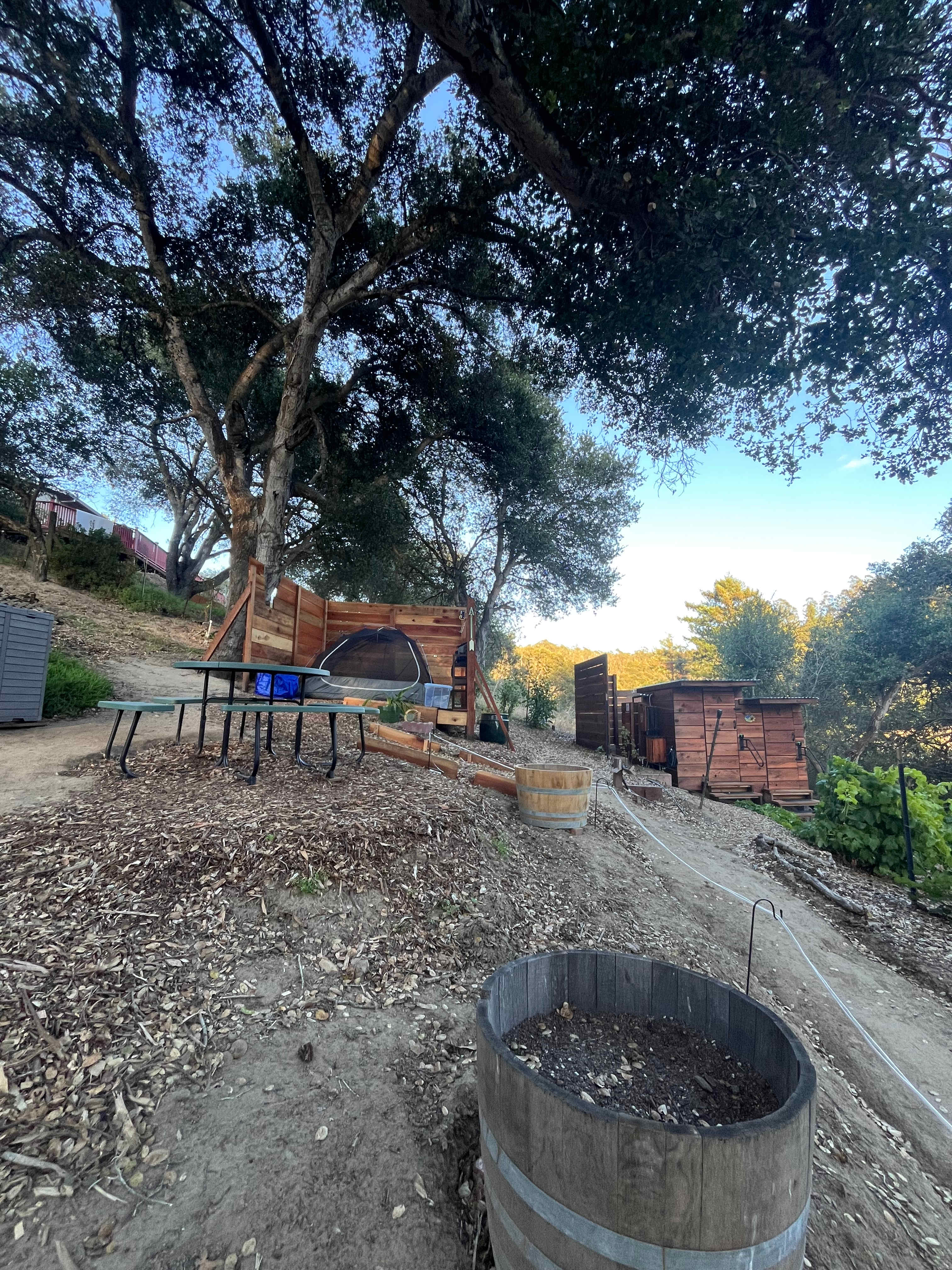 Vega Vortex-Gaia Health Retreat