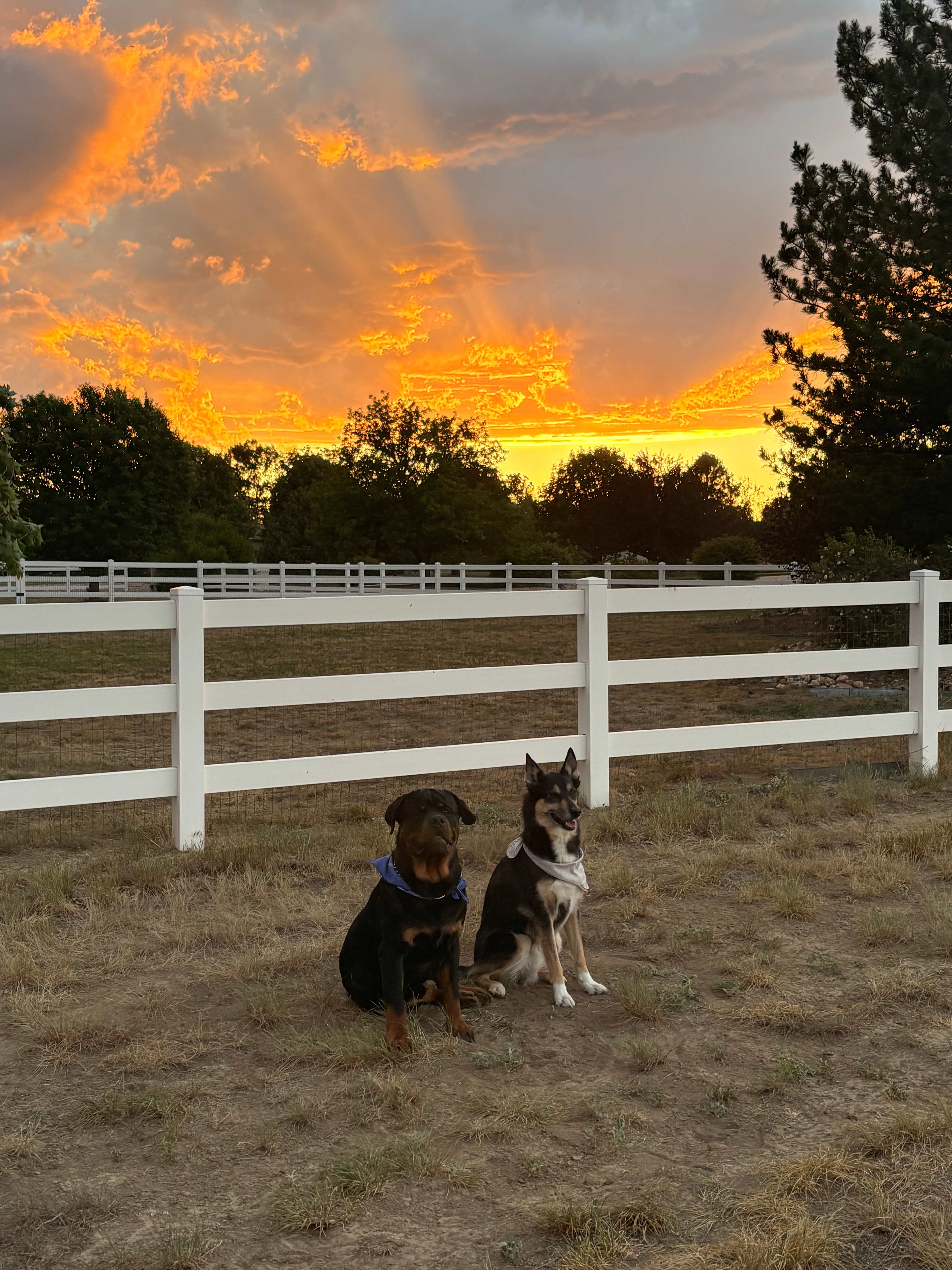Rose Ranch Retreat