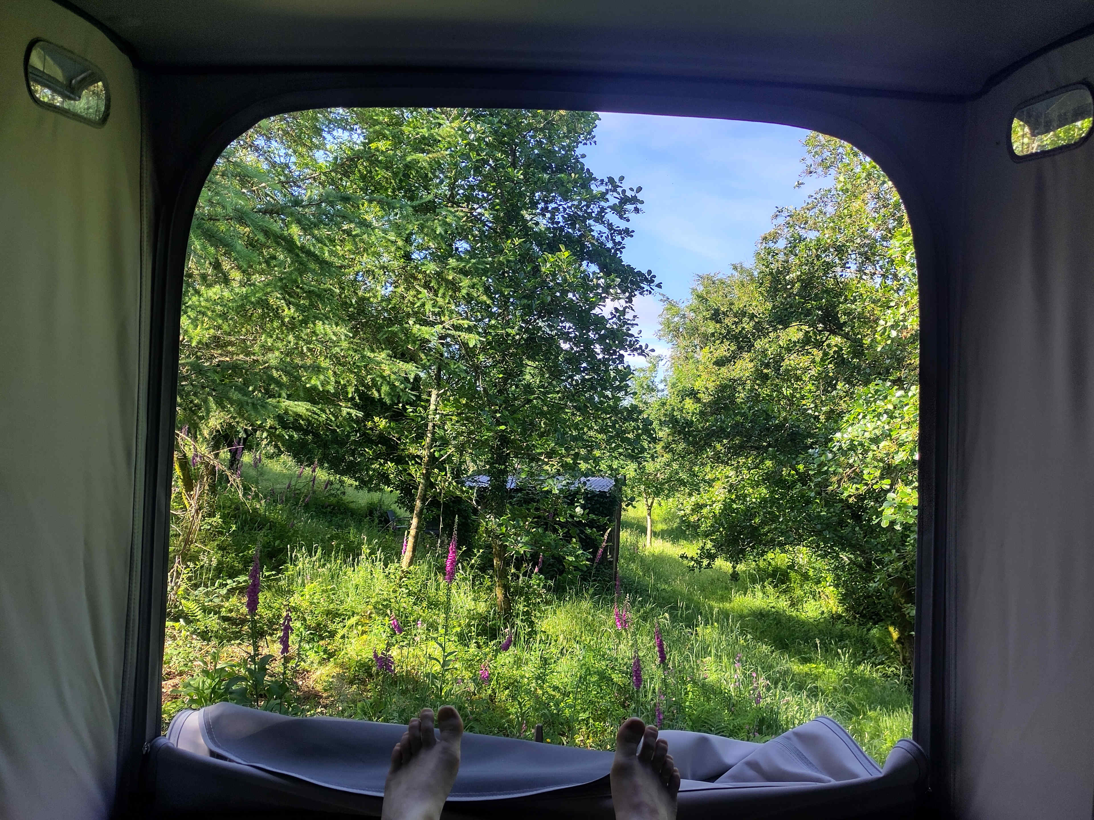 Morning view