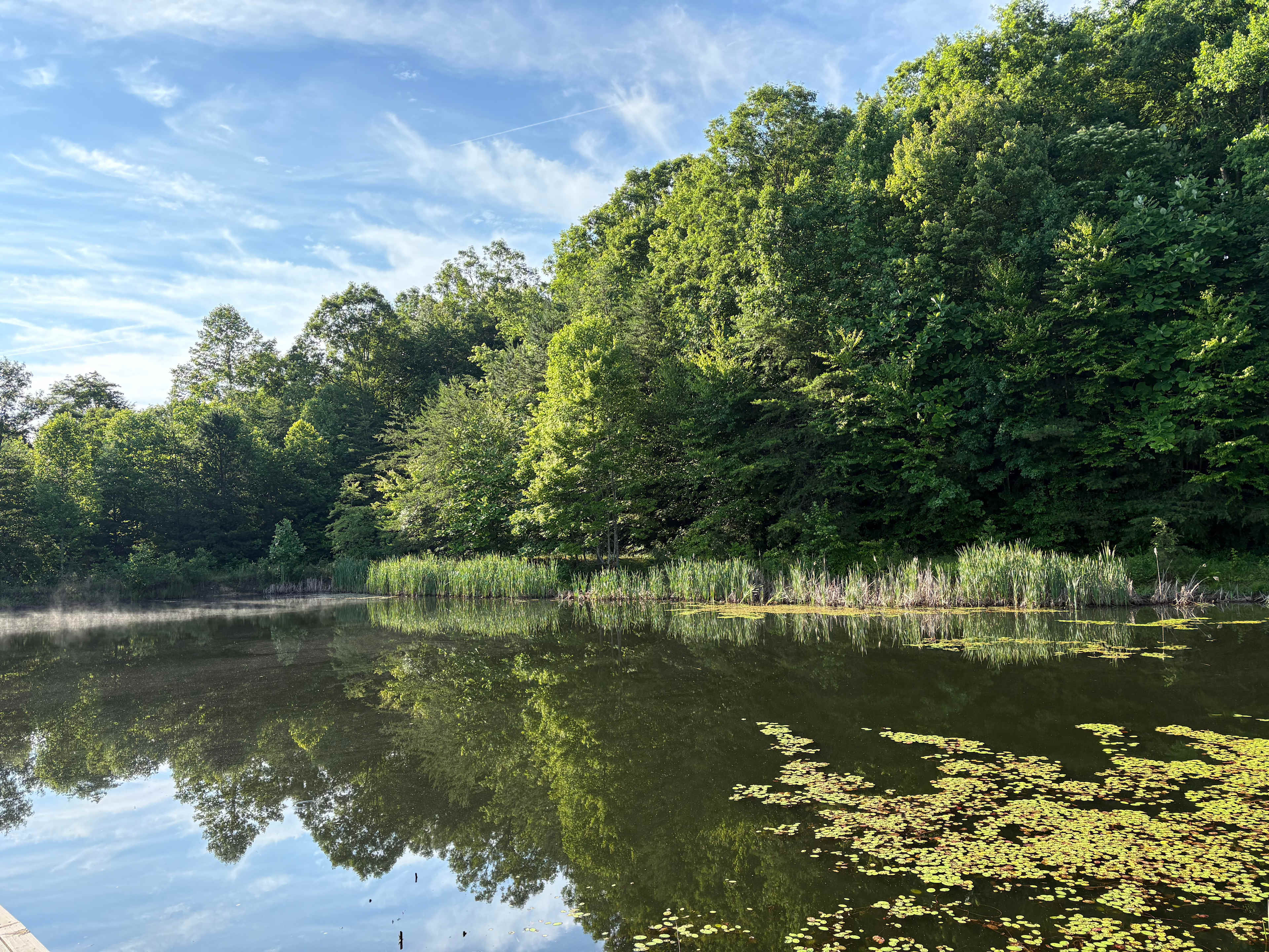 The Harrican Lakehouse