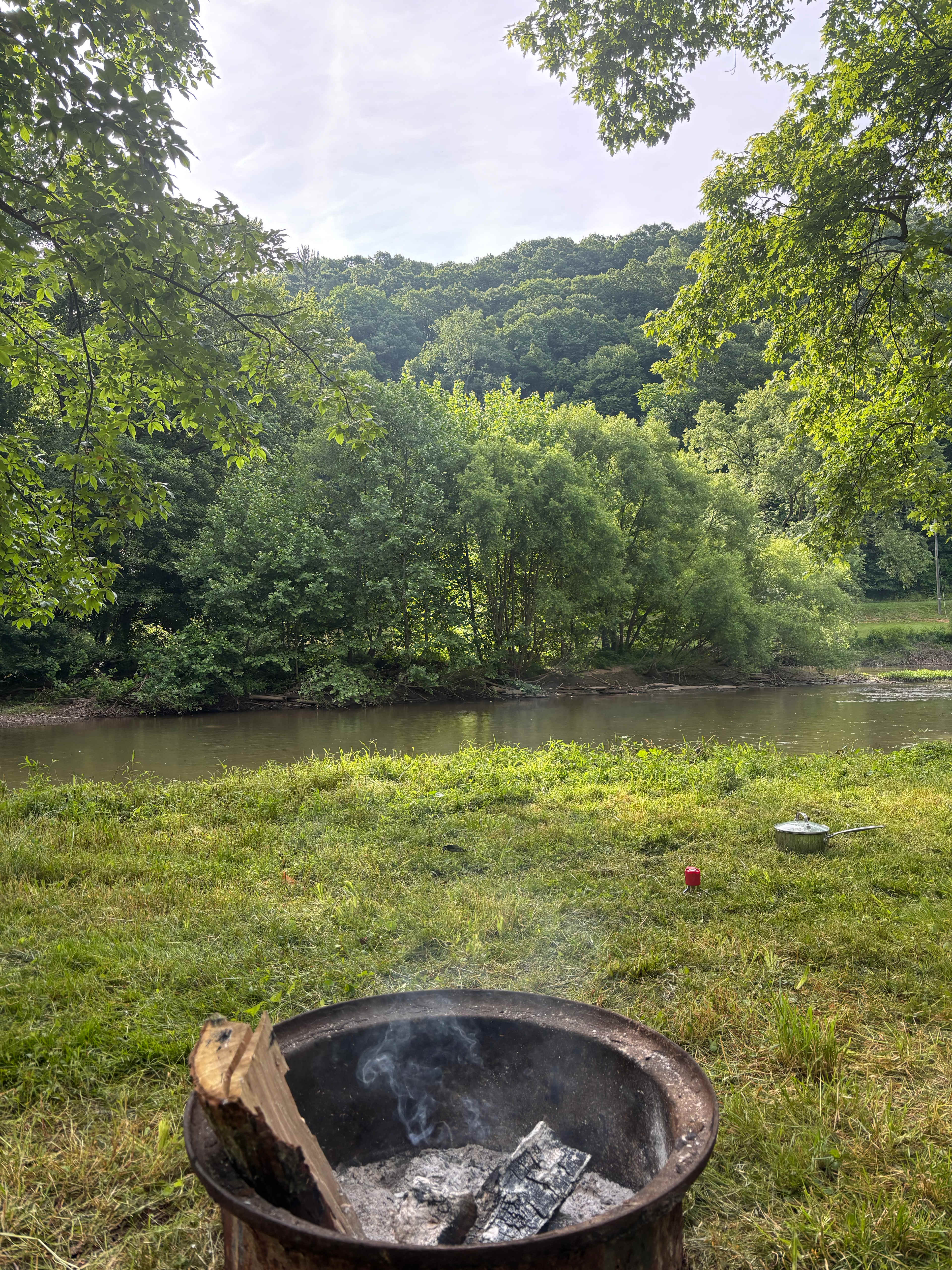 The land.