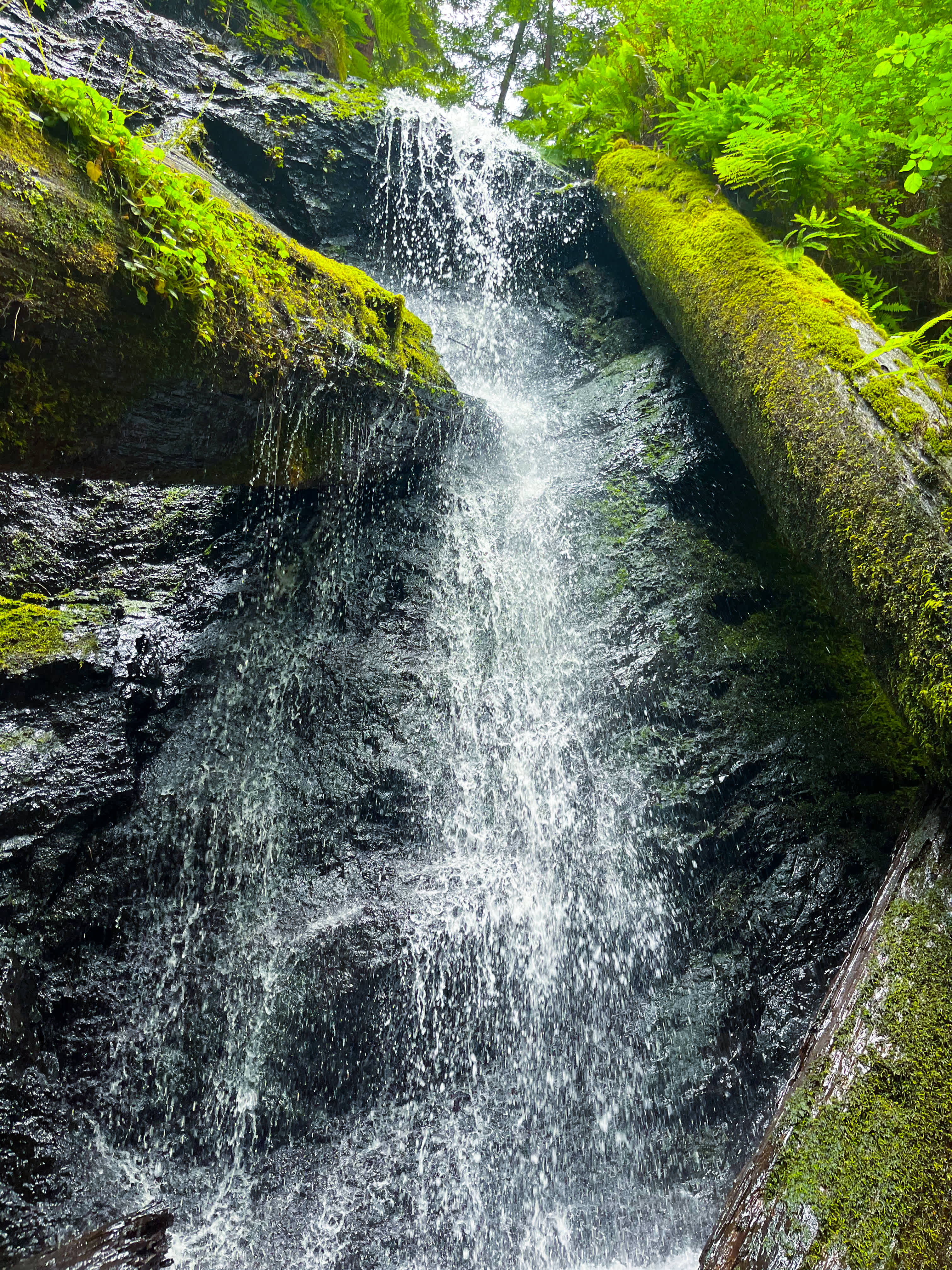 Waterfall Camp