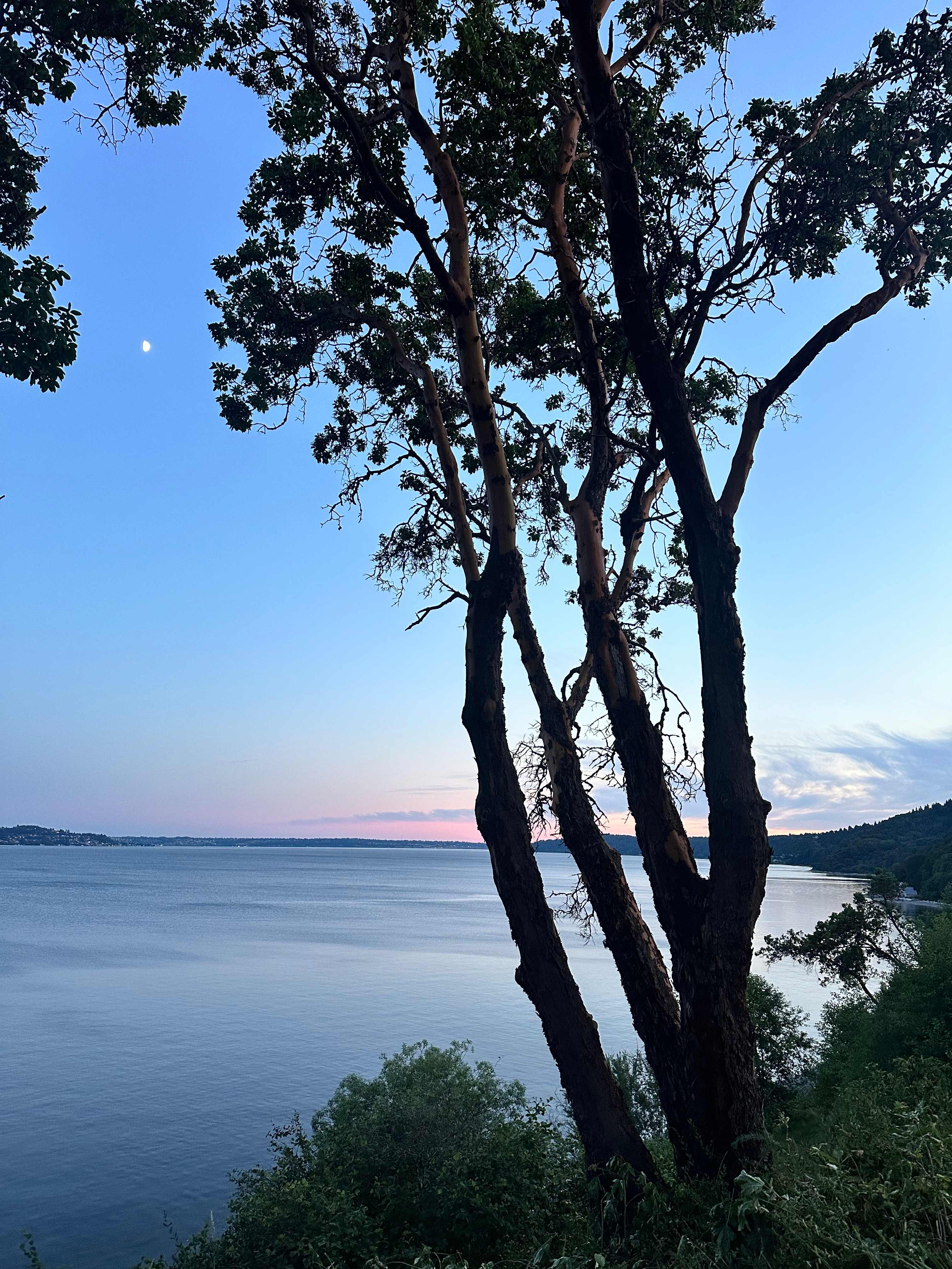 Private Beach, 15 Acres, Vashon